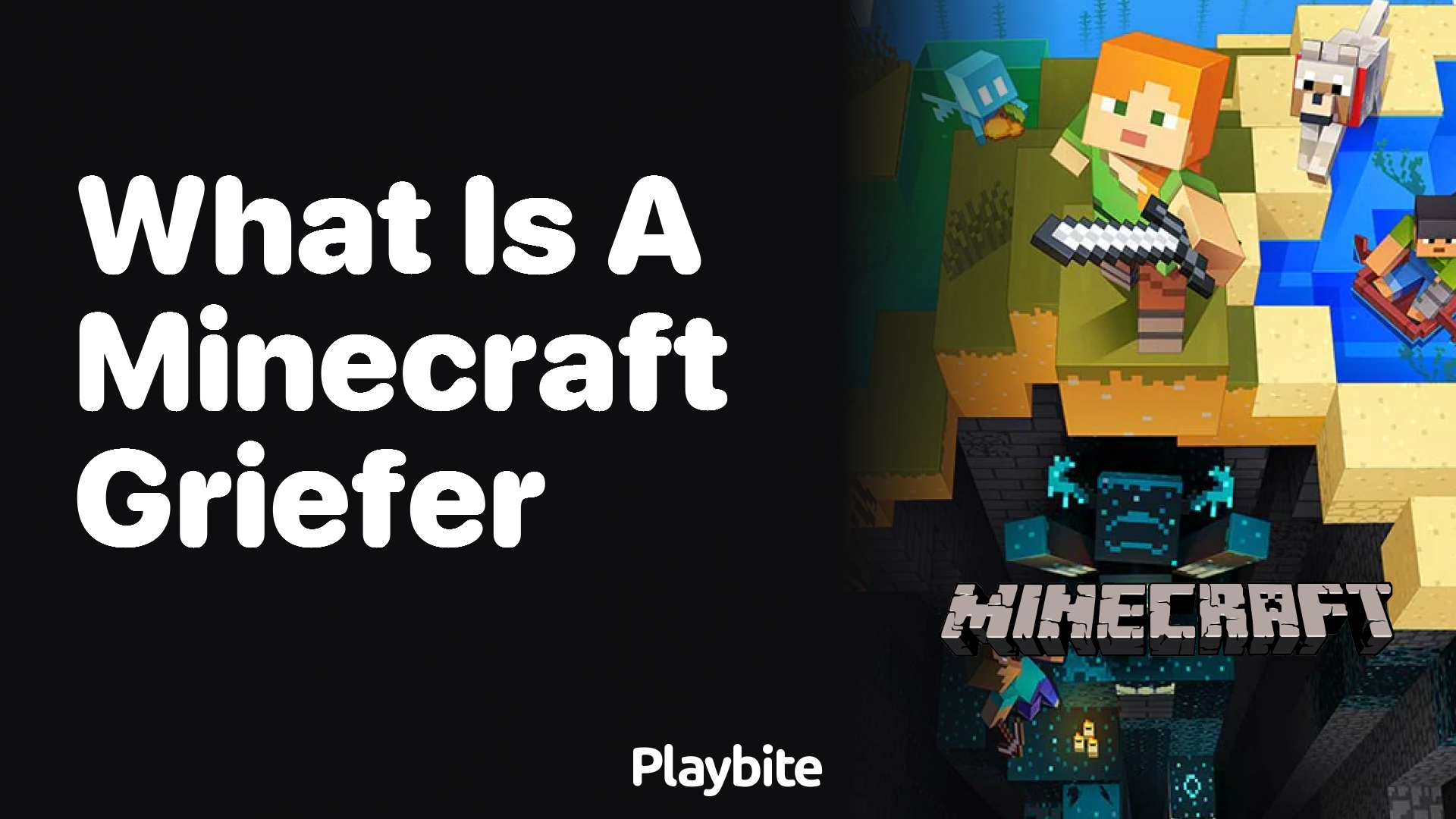 What is a Minecraft Griefer?