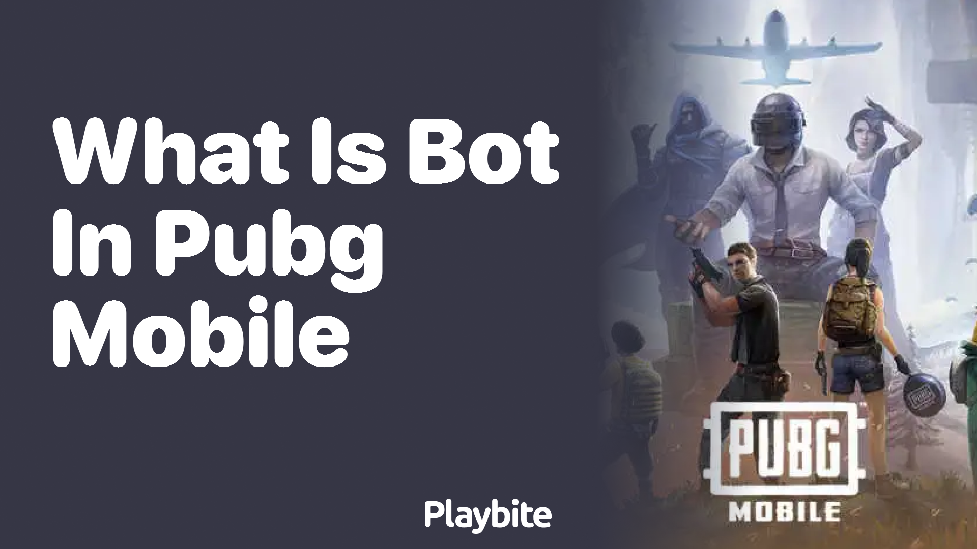 What is a Bot in PUBG Mobile?