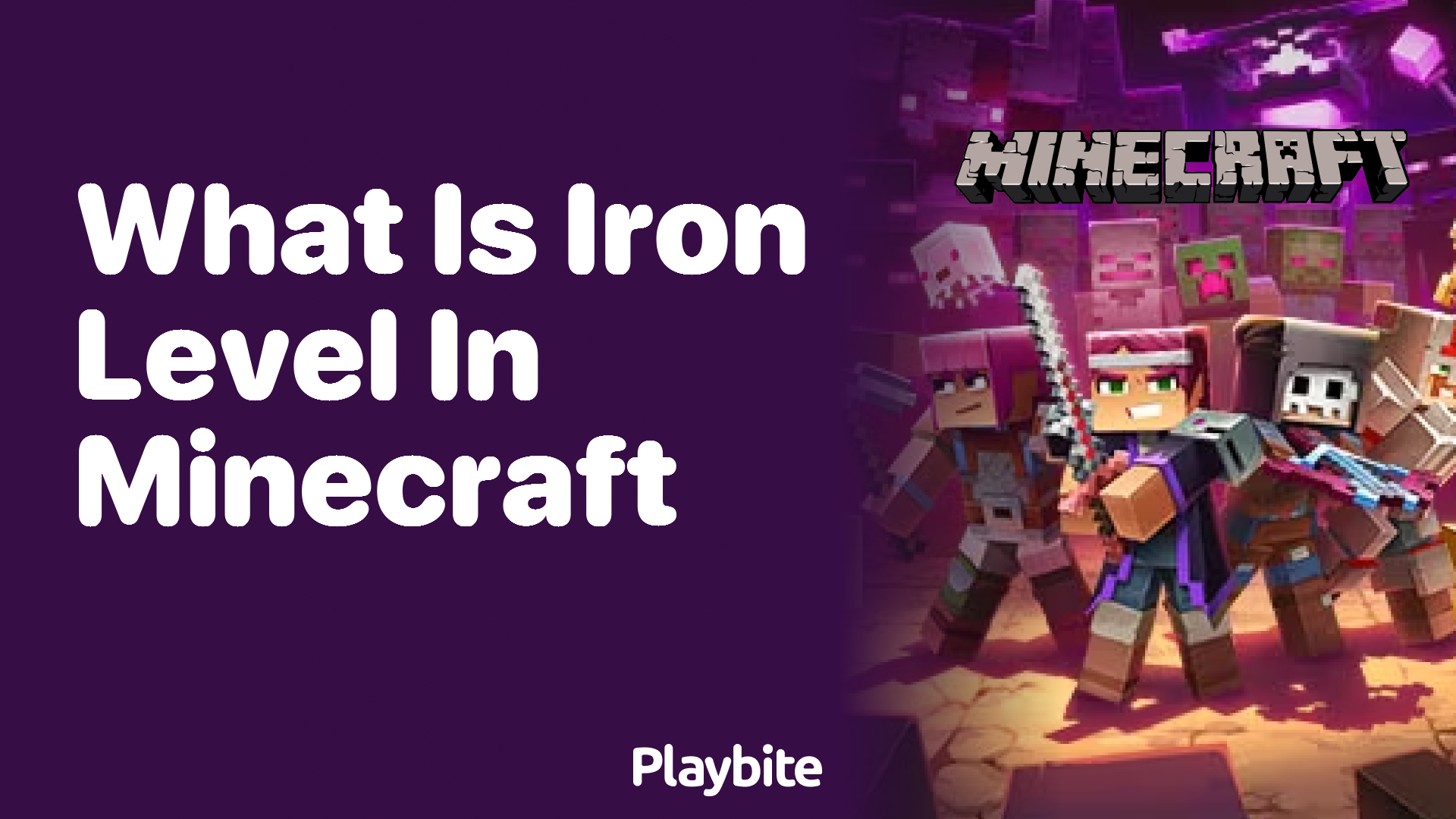 What Is Iron Level in Minecraft?