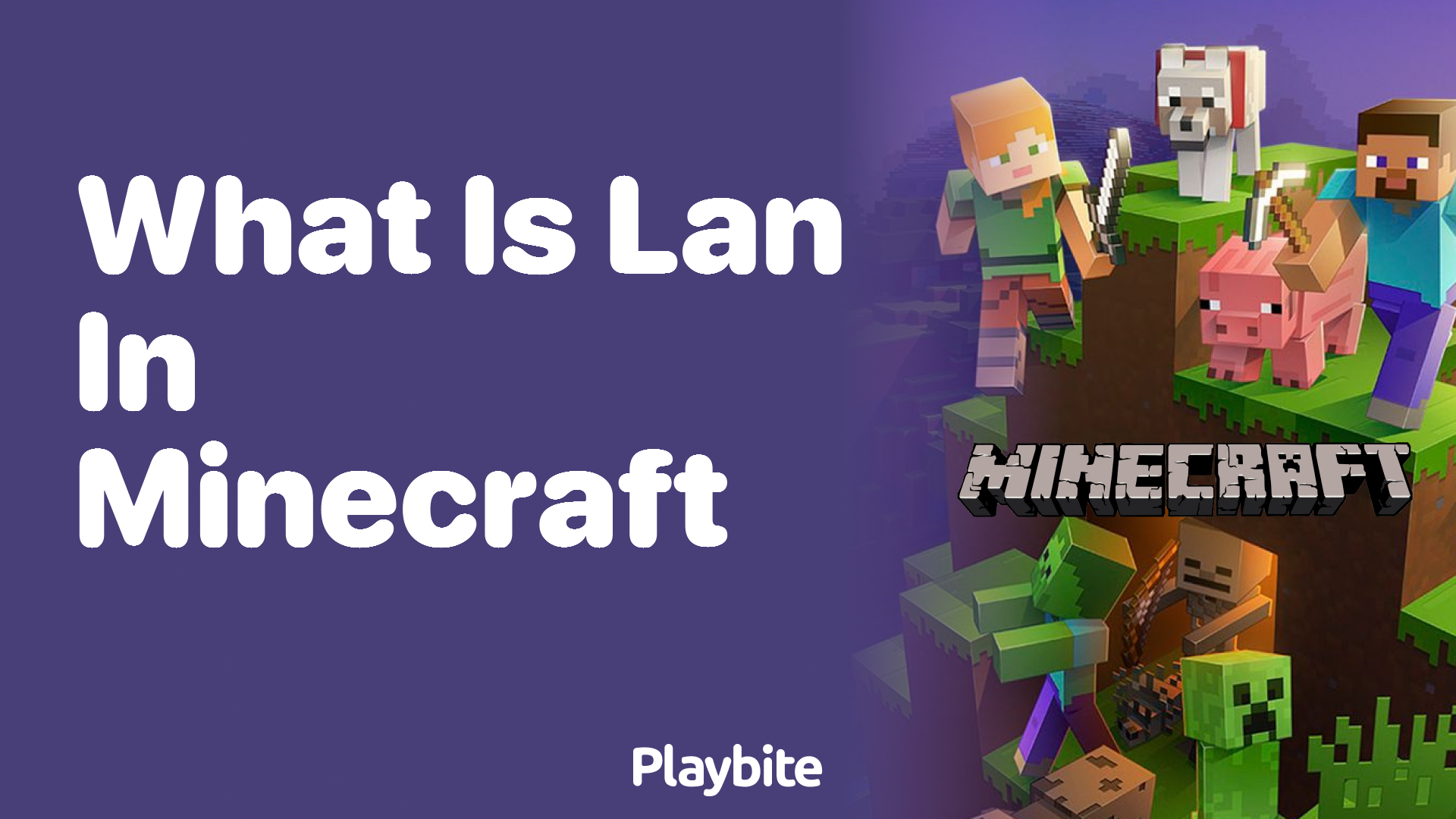What is LAN in Minecraft?