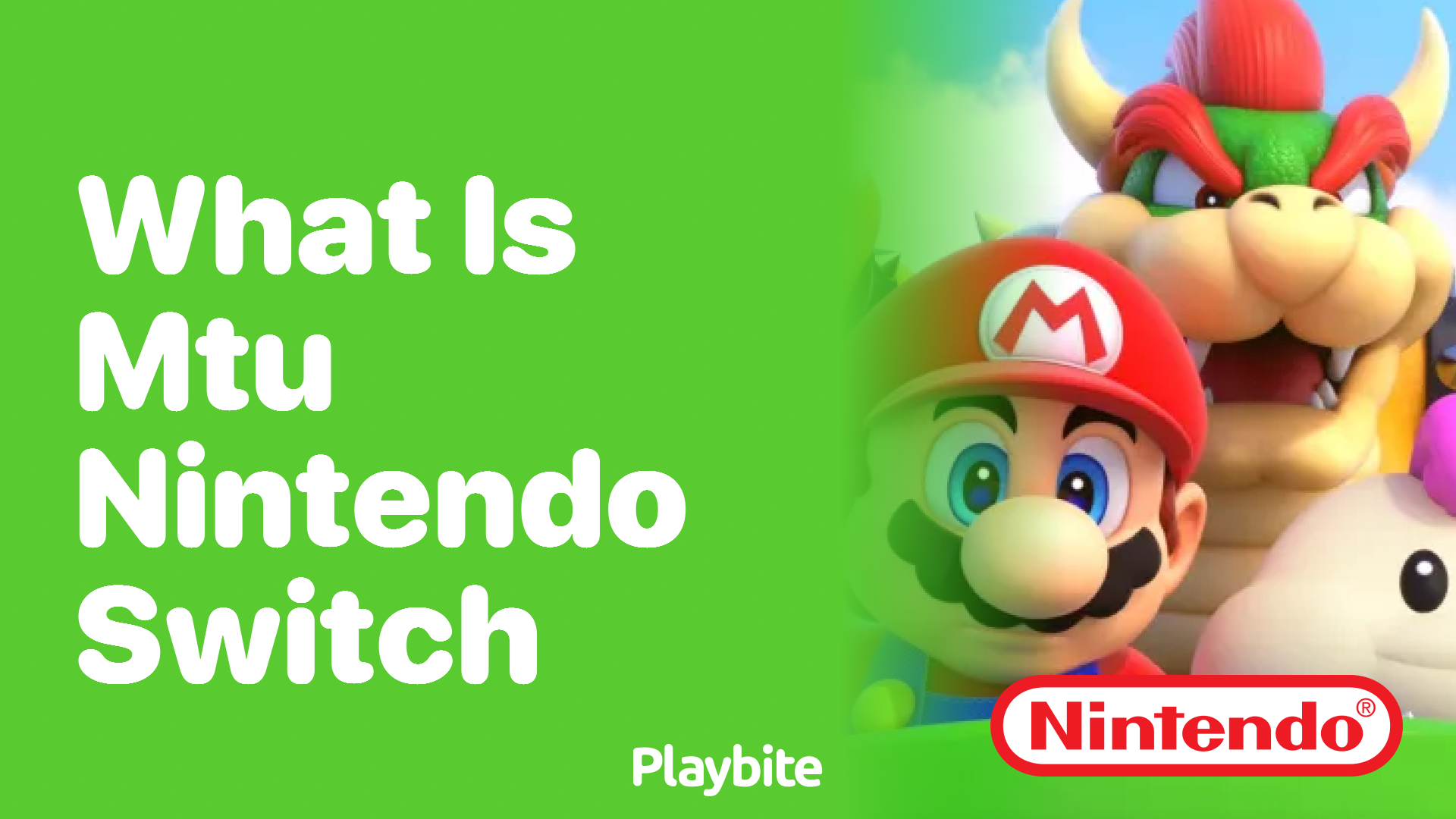 What is MTU on Nintendo Switch?