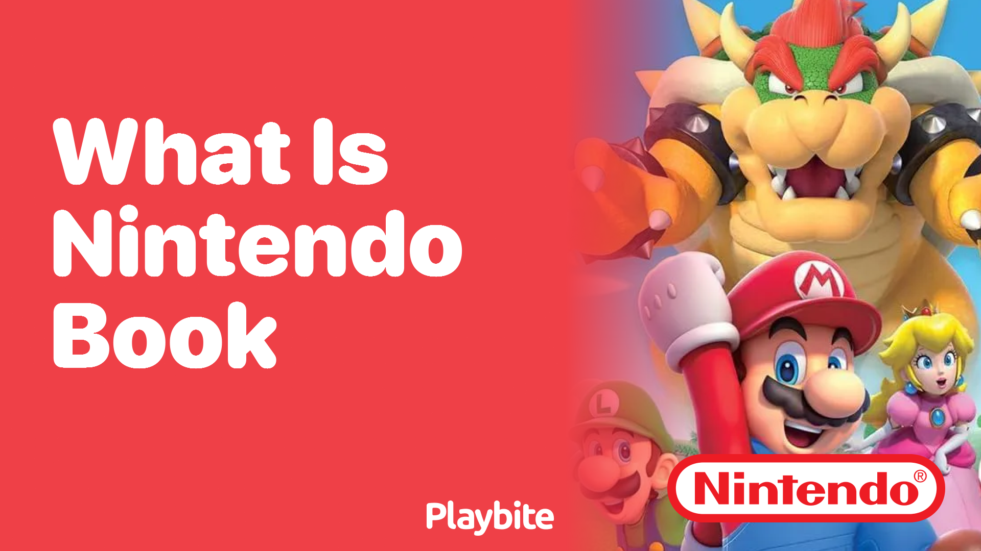 What is Nintendo Book? Unwrapping the Mystery