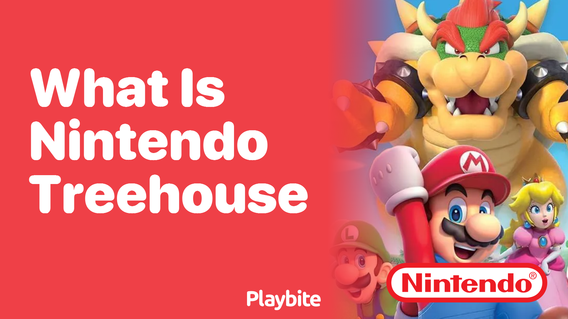 What is Nintendo Treehouse?