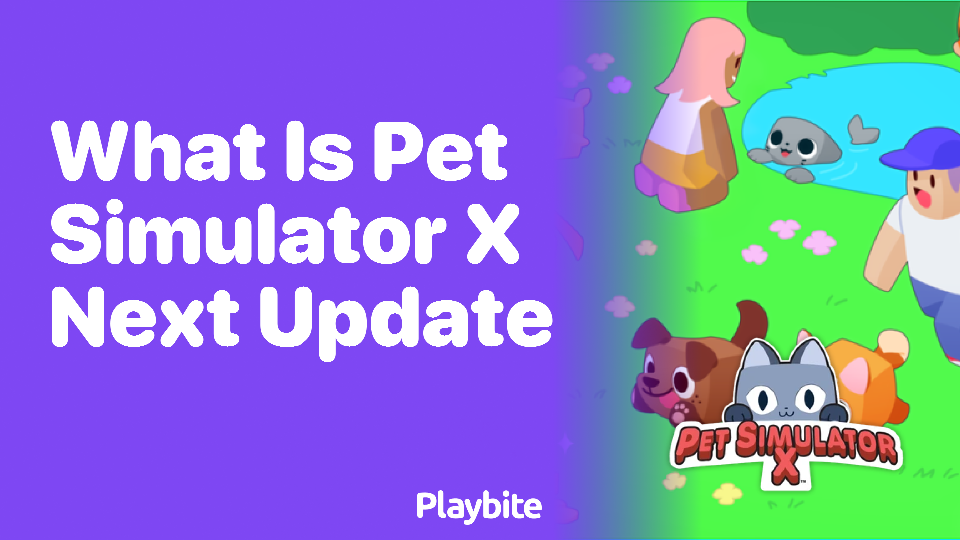 What’s Coming in the Next Update for Pet Simulator X?