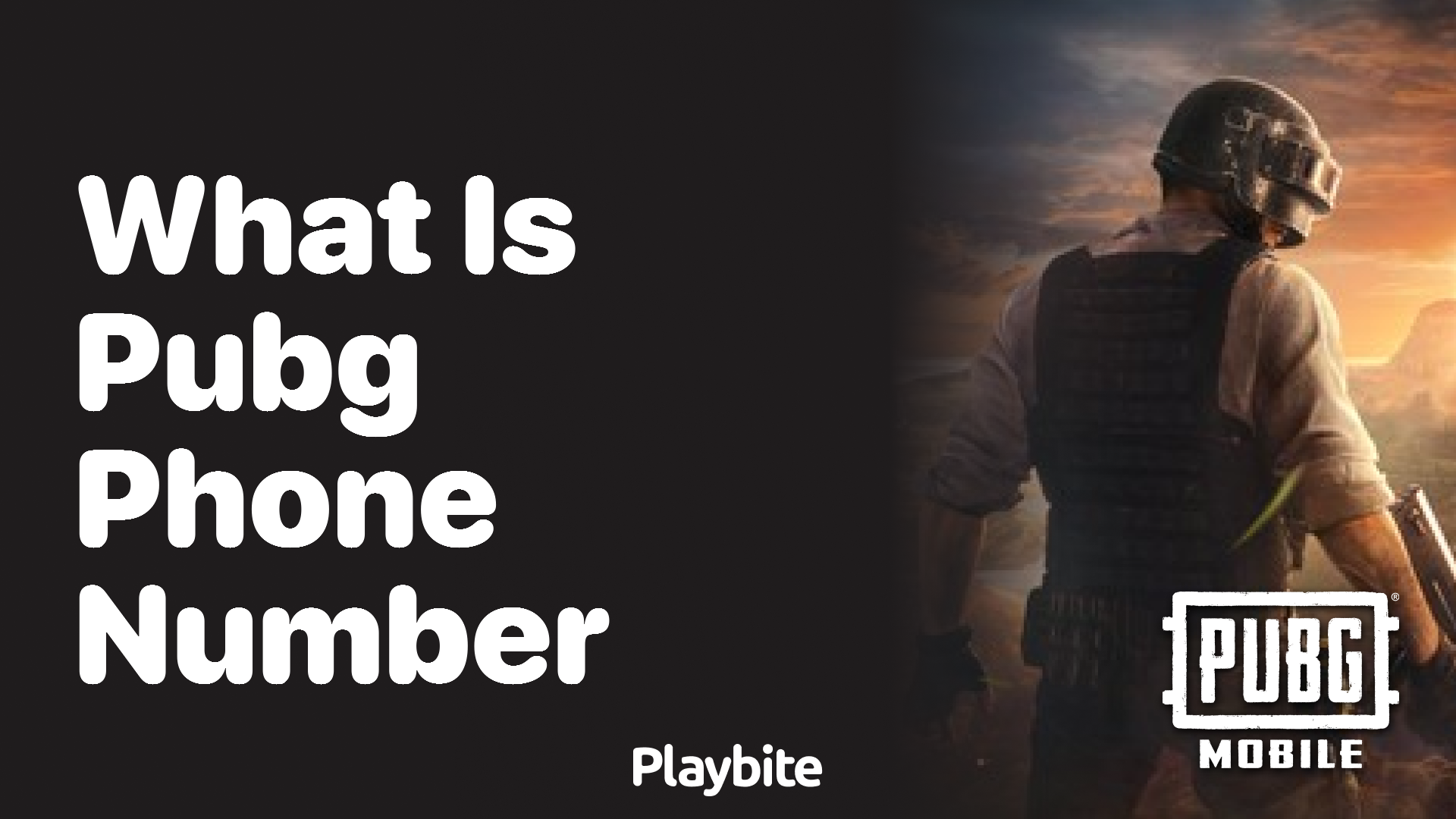 What Is PUBG’s Phone Number?