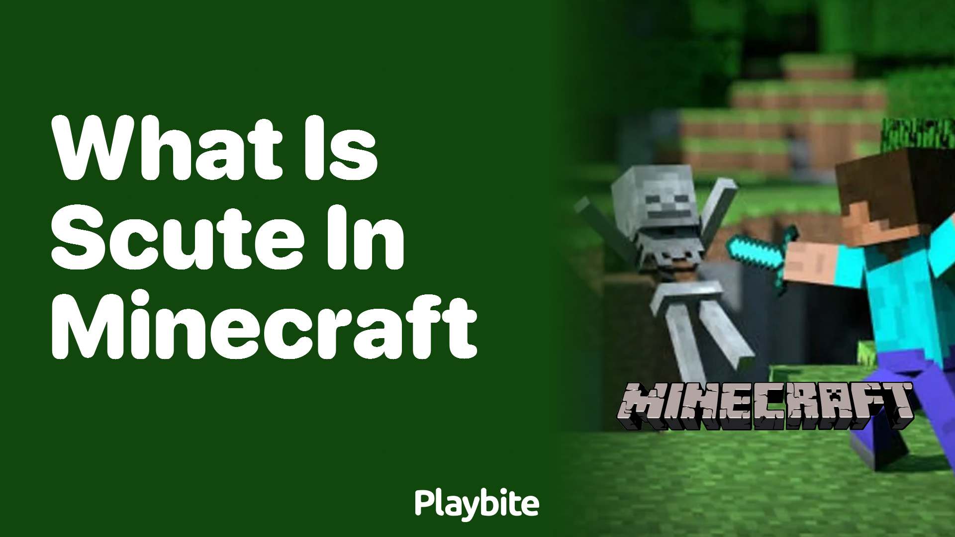 What Is Scute in Minecraft?