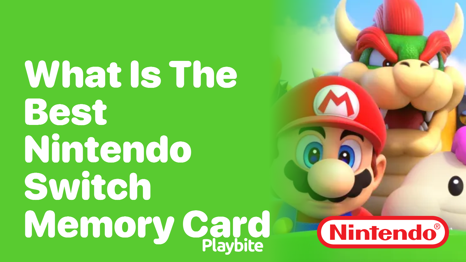 What Is the Best Nintendo Switch Memory Card?