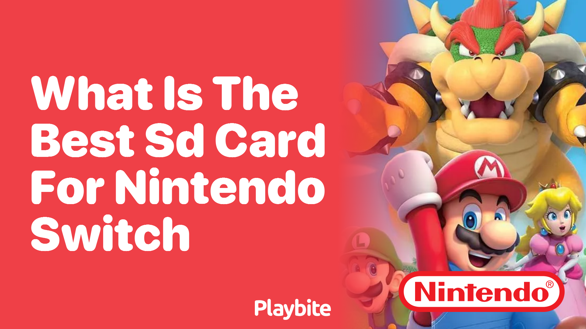 What Is the Best SD Card for Nintendo Switch?