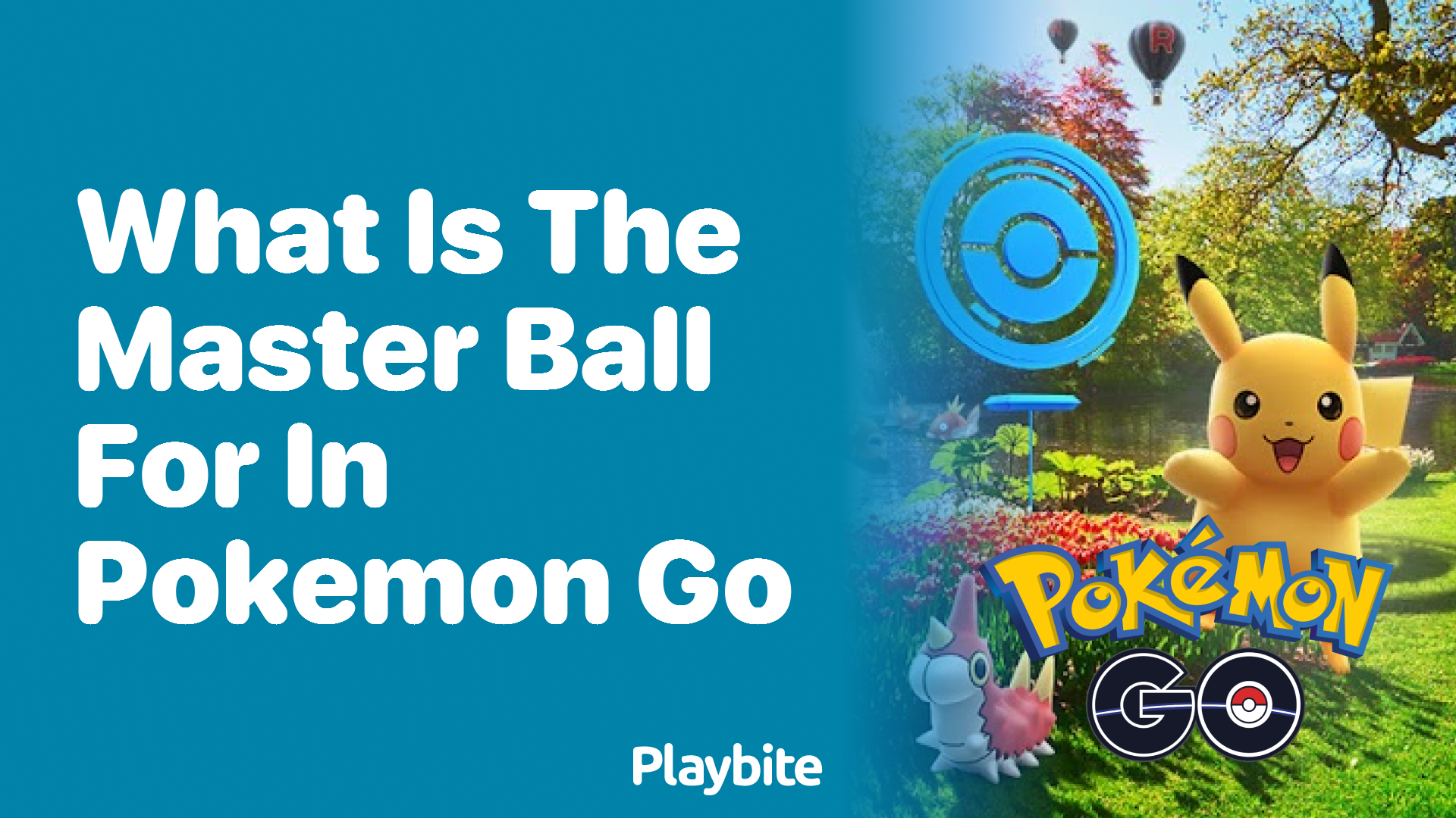 What is the Master Ball for in Pokemon GO?