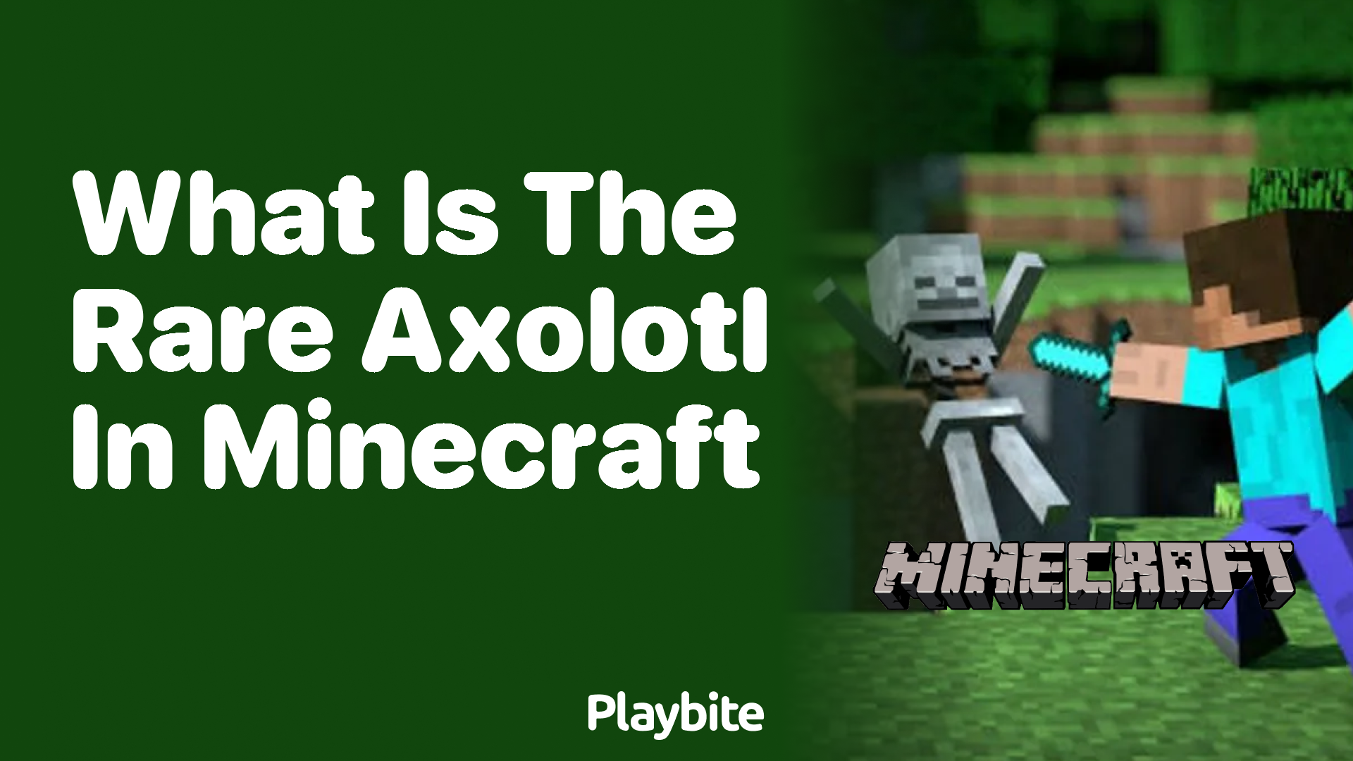 What is the Rare Axolotl in Minecraft?