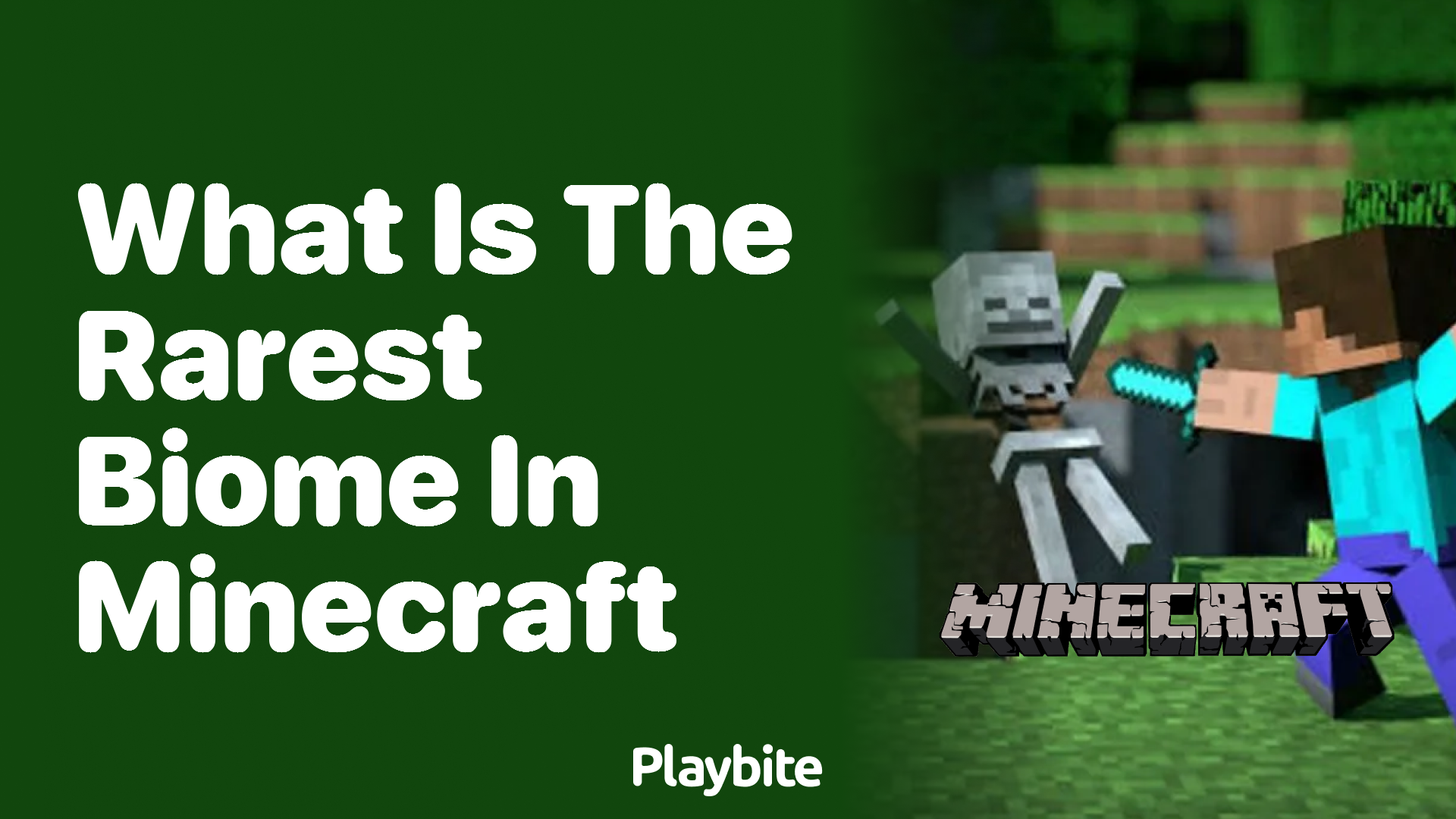 What is the Rarest Biome in Minecraft?