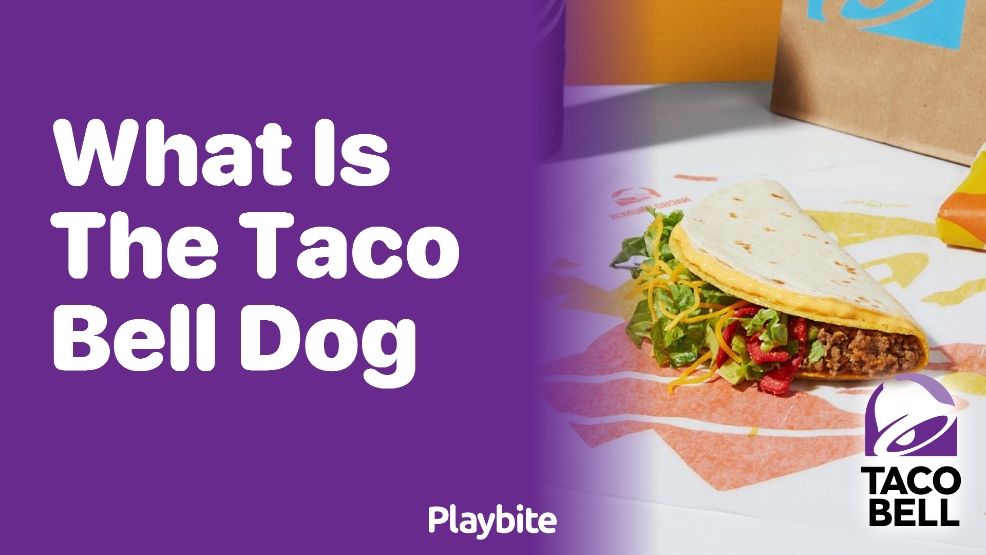 What is the Taco Bell Dog? Your Yummy Guide to a Cultural Icon