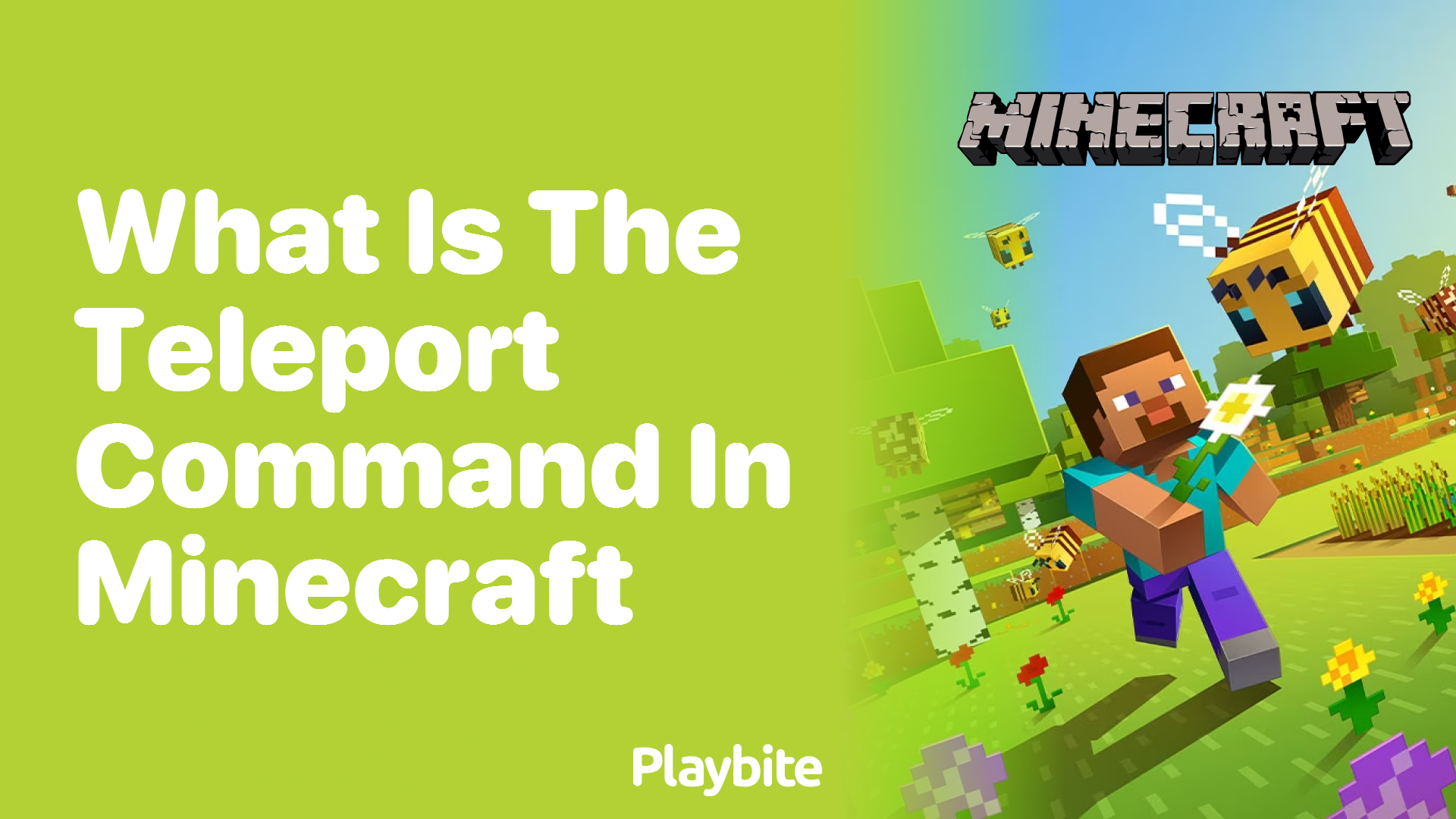What Is the Teleport Command in Minecraft? Playbite