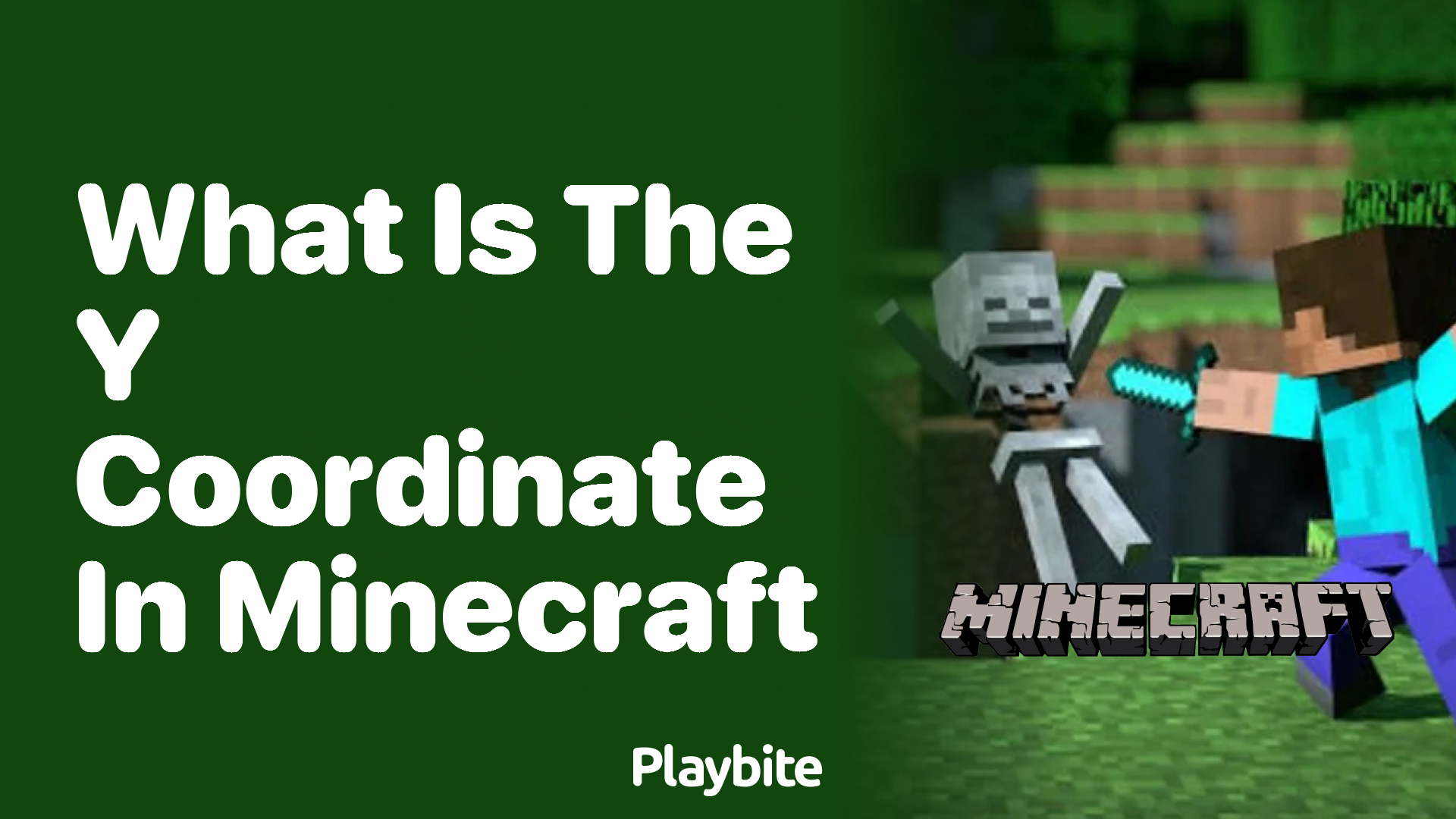 What Is the Y Coordinate in Minecraft?