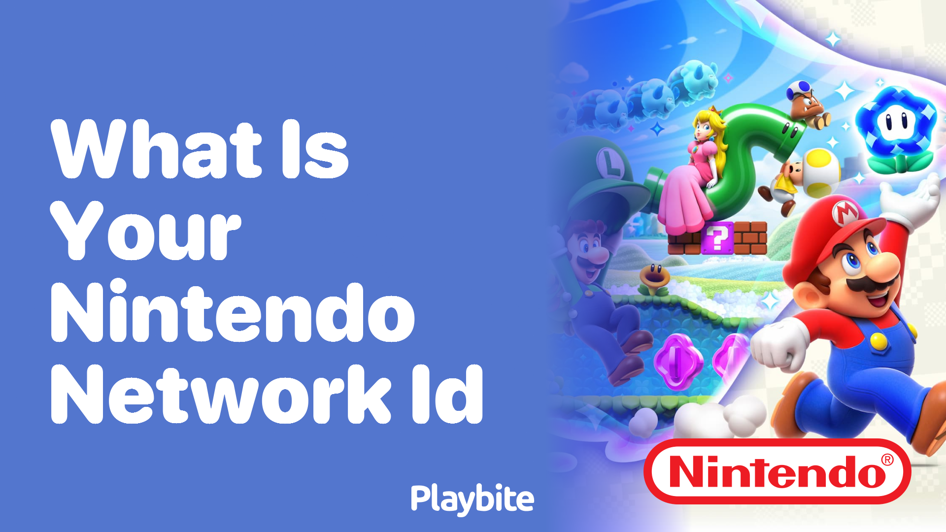 What Is Your Nintendo Network ID and Why It Matters