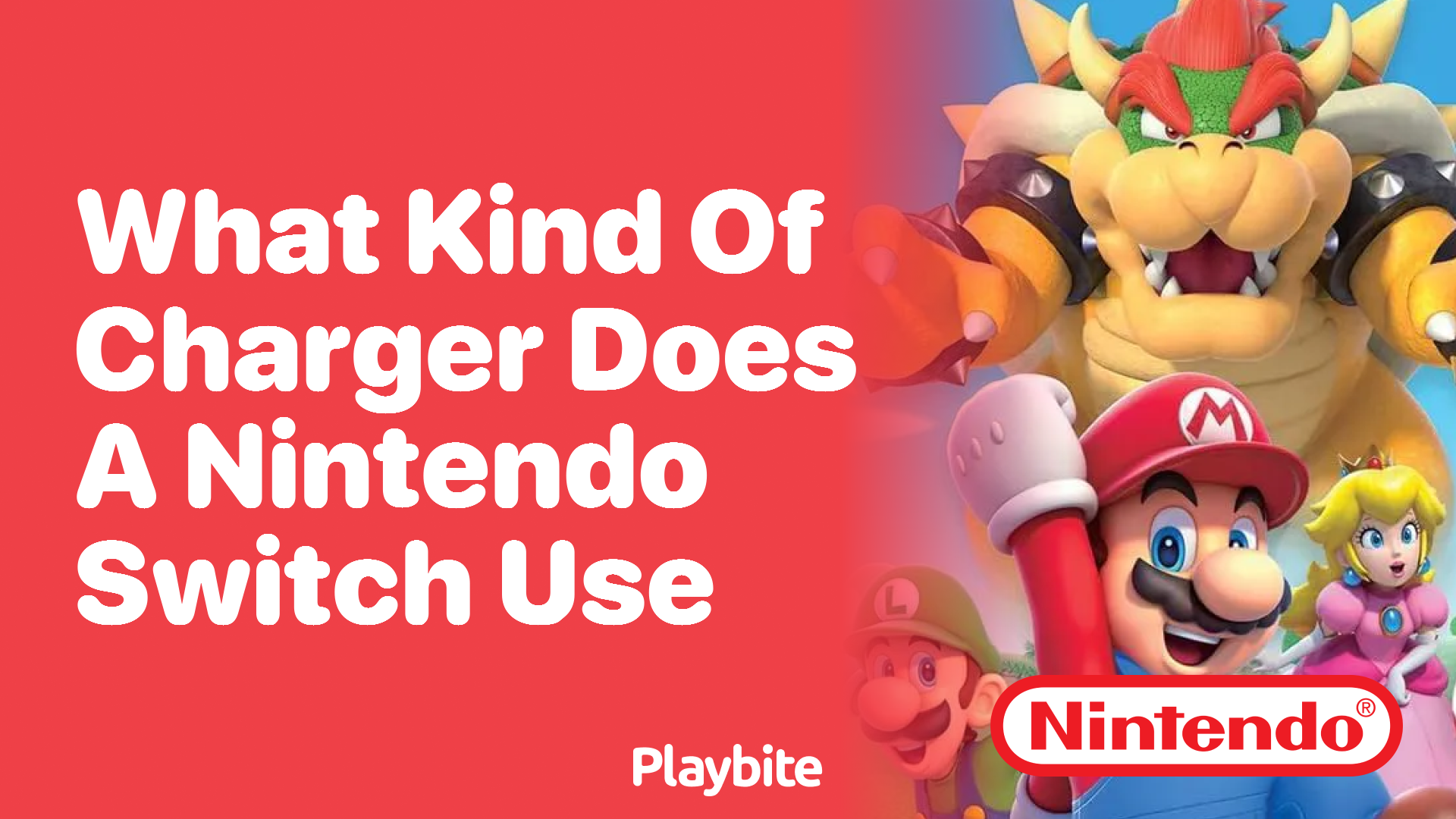 What Kind of Charger Does a Nintendo Switch Use?