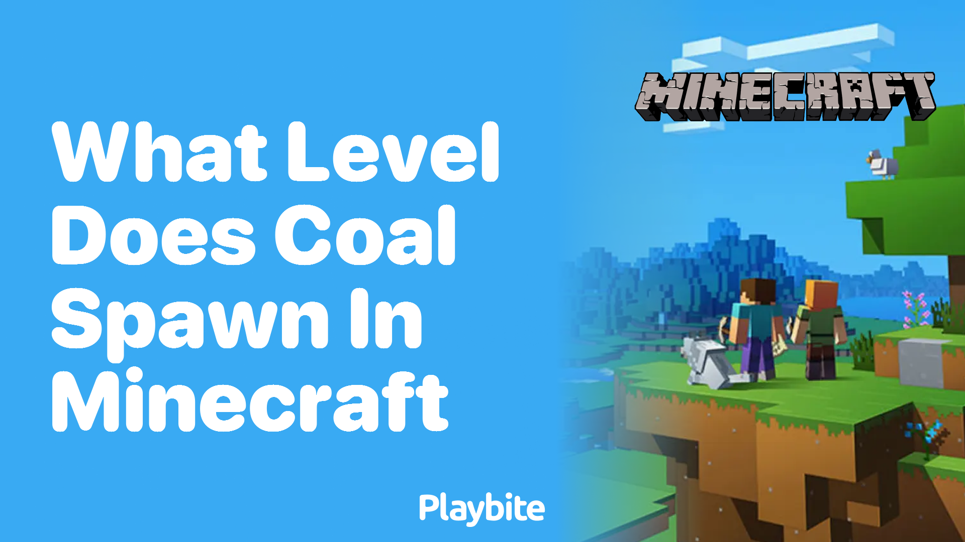 What Level Does Coal Spawn in Minecraft?