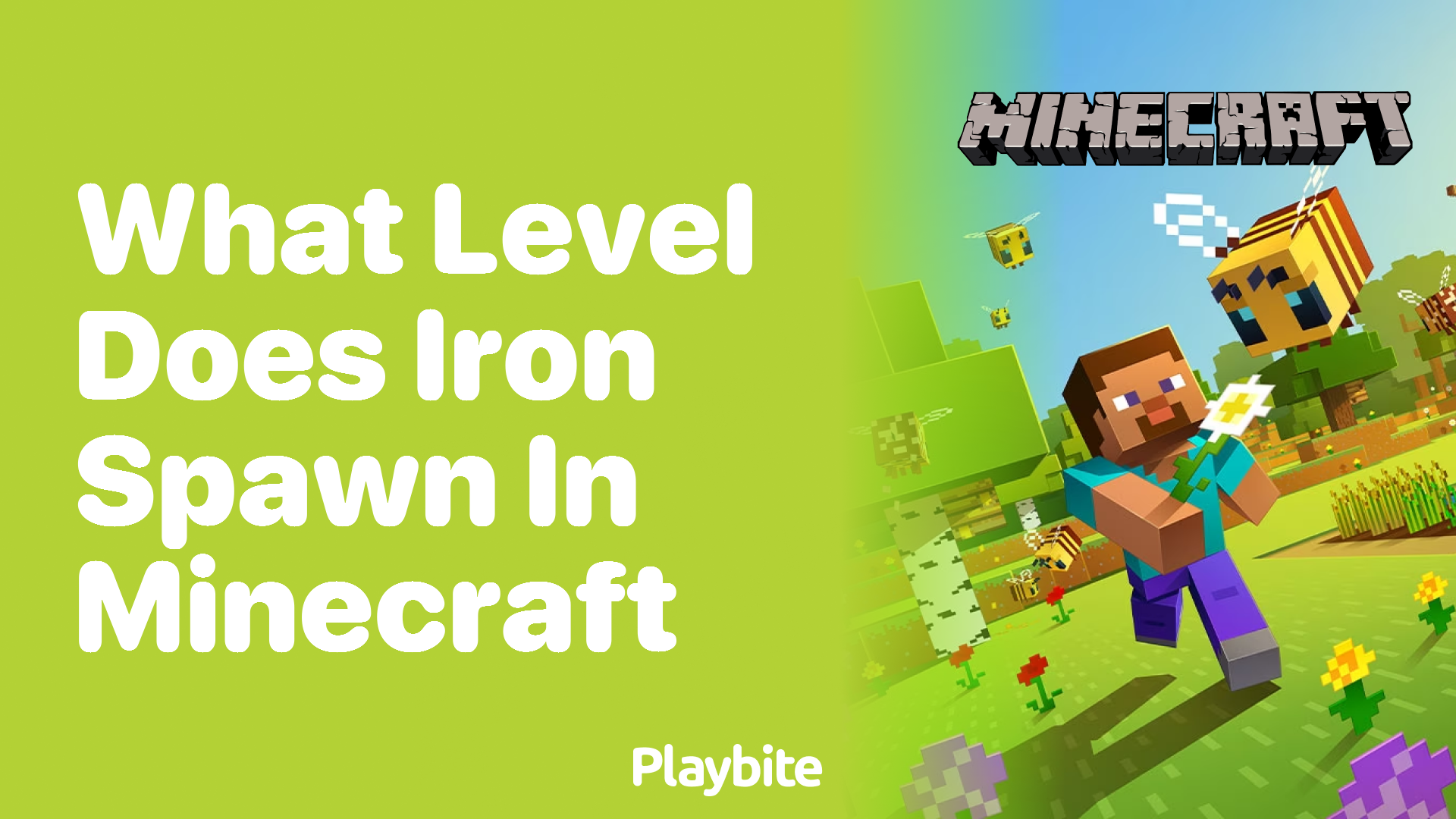 What Level Does Iron Spawn in Minecraft? Playbite