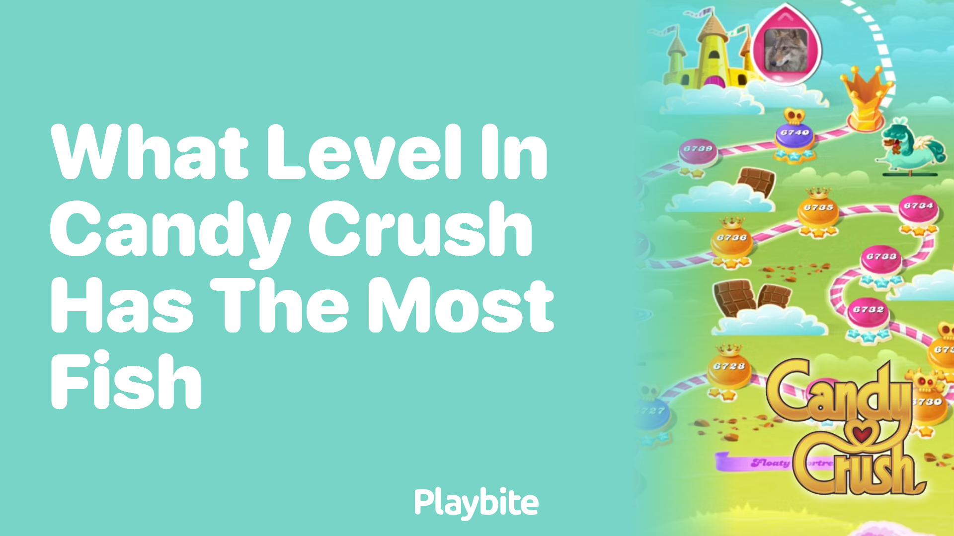 What Level in Candy Crush Has the Most Fish? Let’s Dive In!