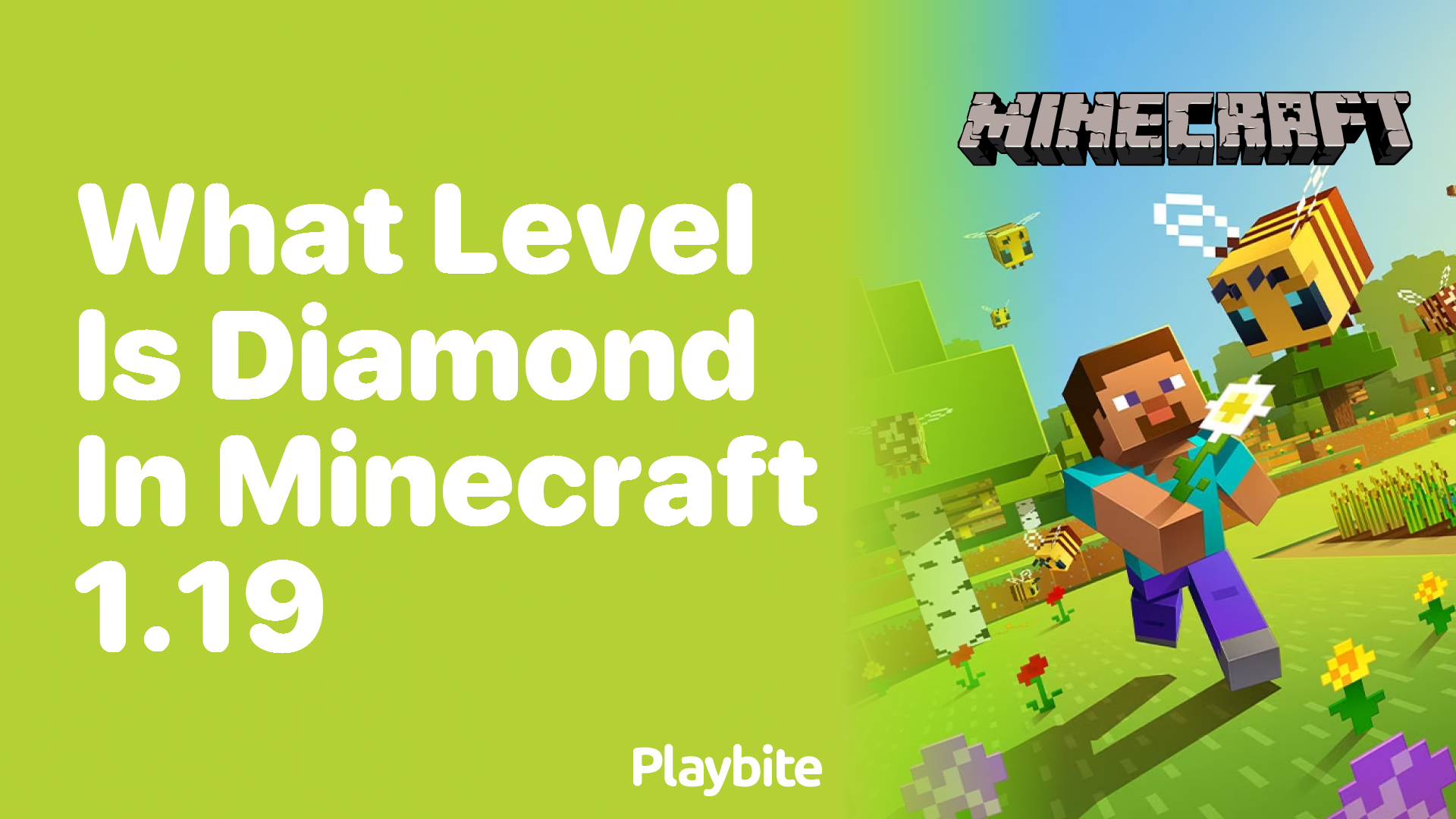 What Level Is Diamond In Minecraft 1.19?