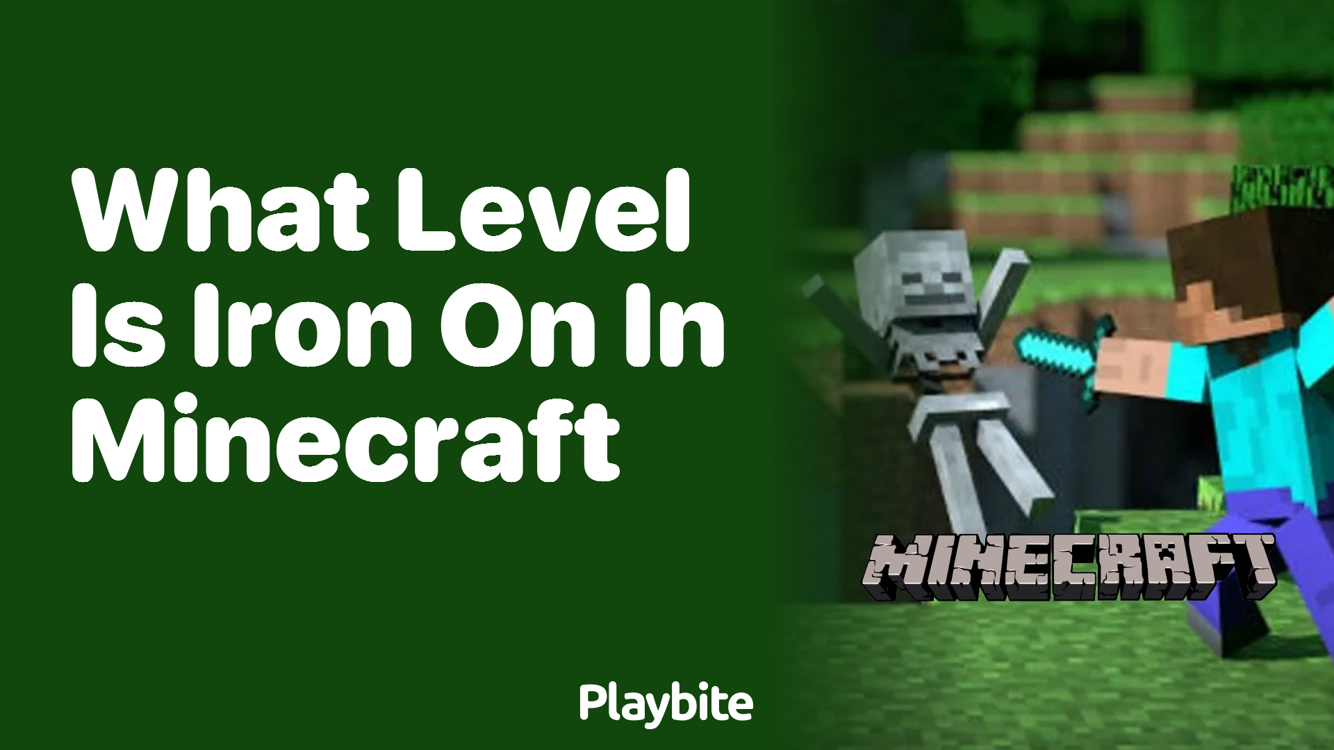 What Level is Iron On in Minecraft?