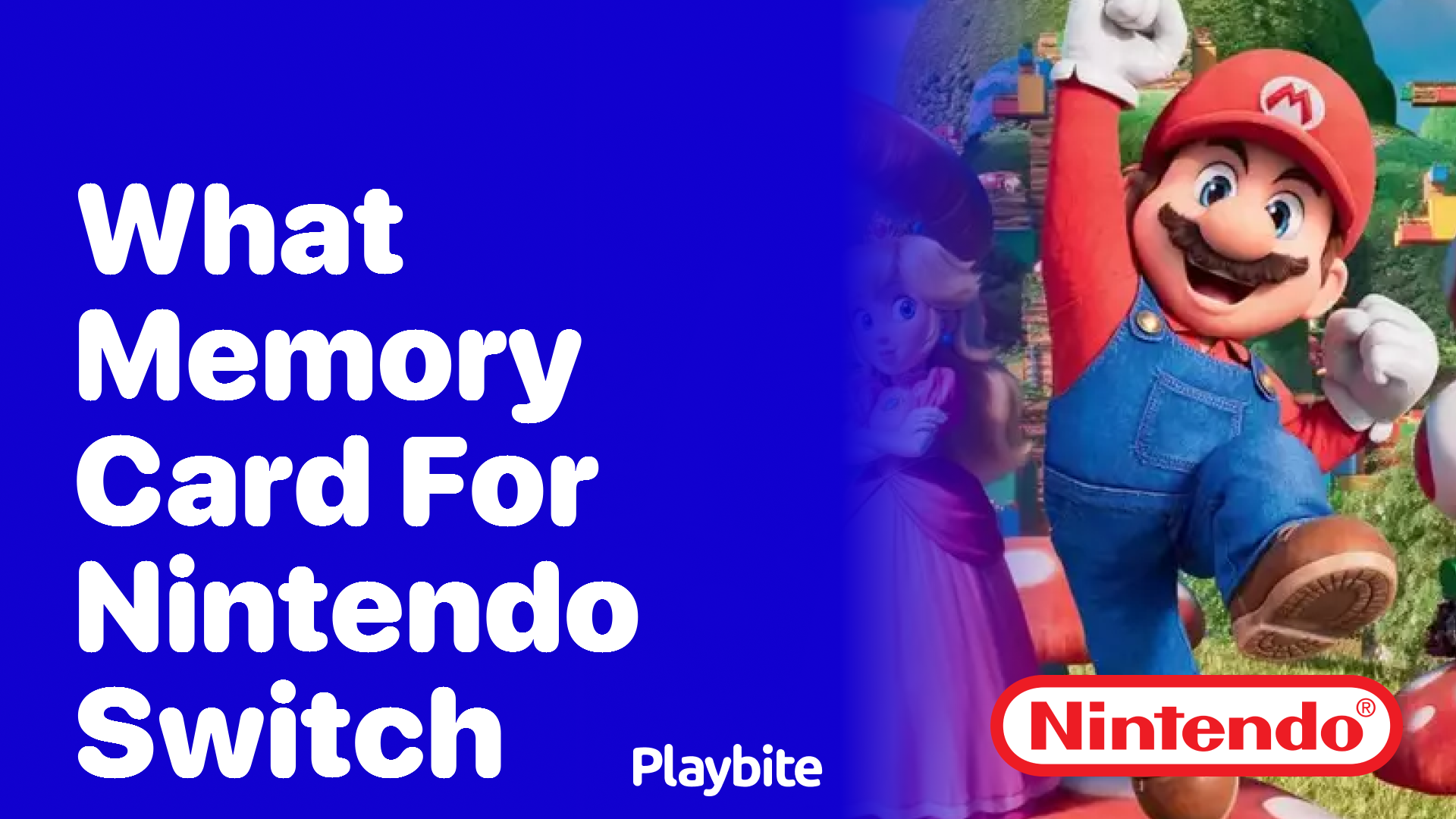 What Memory Card for Nintendo Switch Is Best?