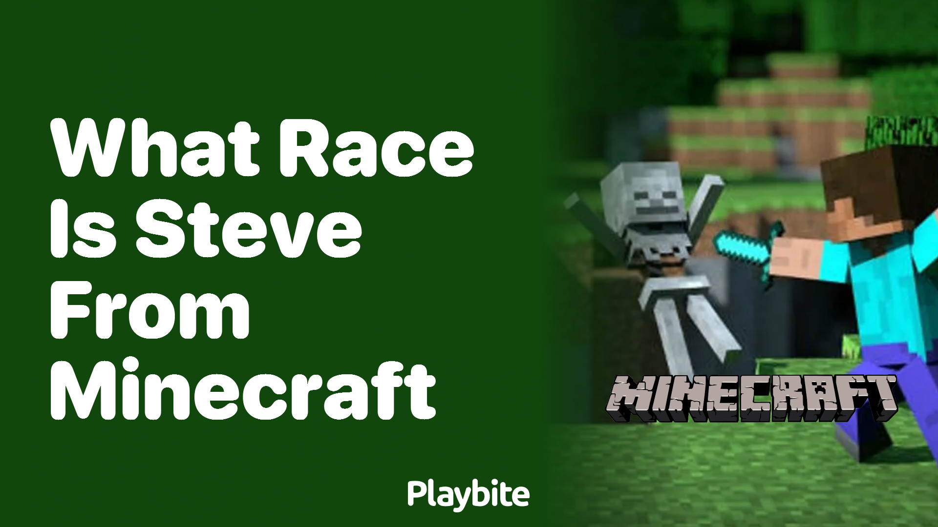 What Race Is Steve from Minecraft?
