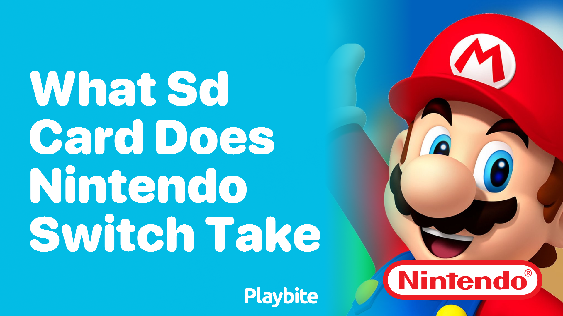 What SD Card Does Nintendo Switch Take?