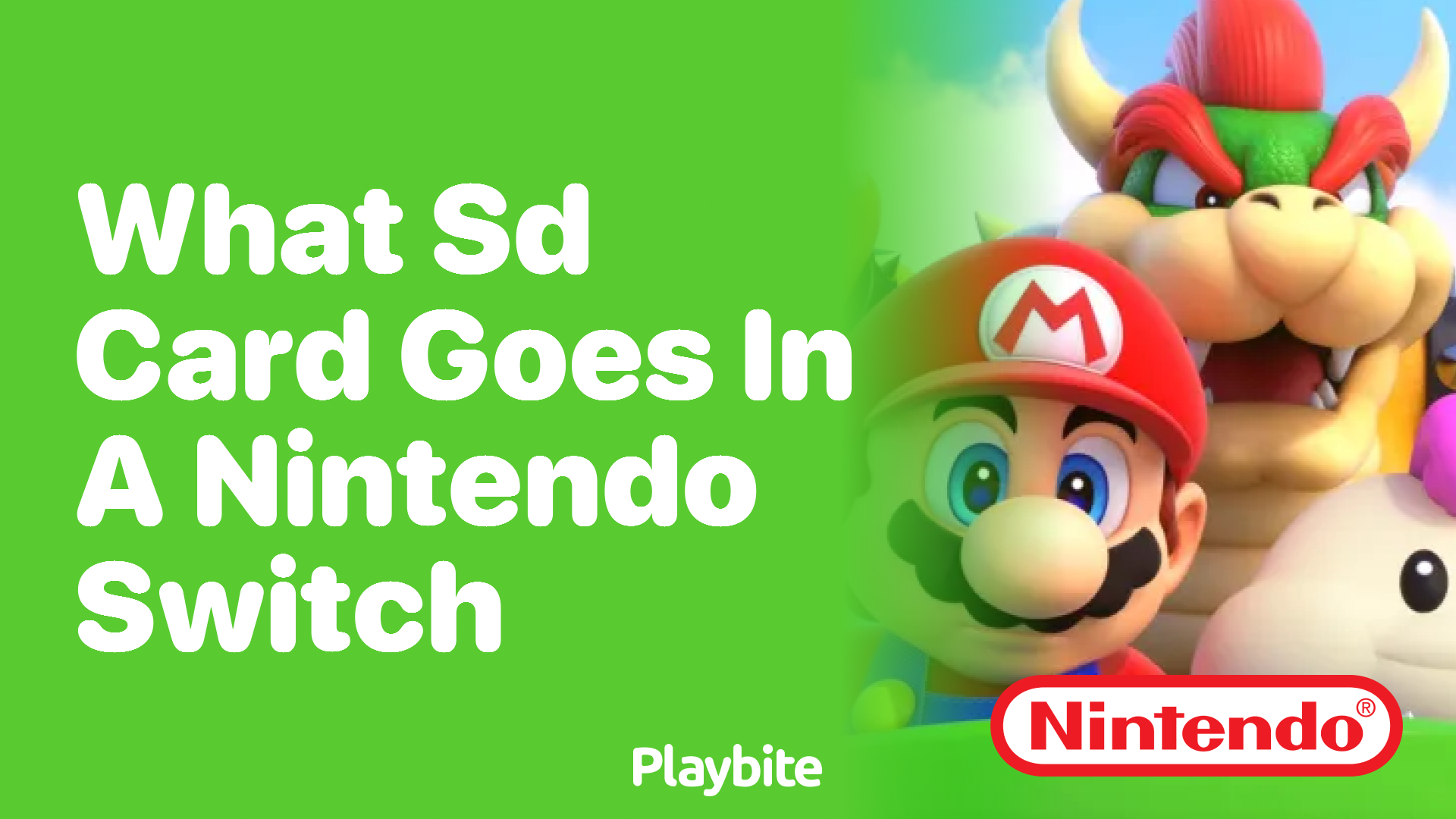 What SD Card Goes in a Nintendo Switch?