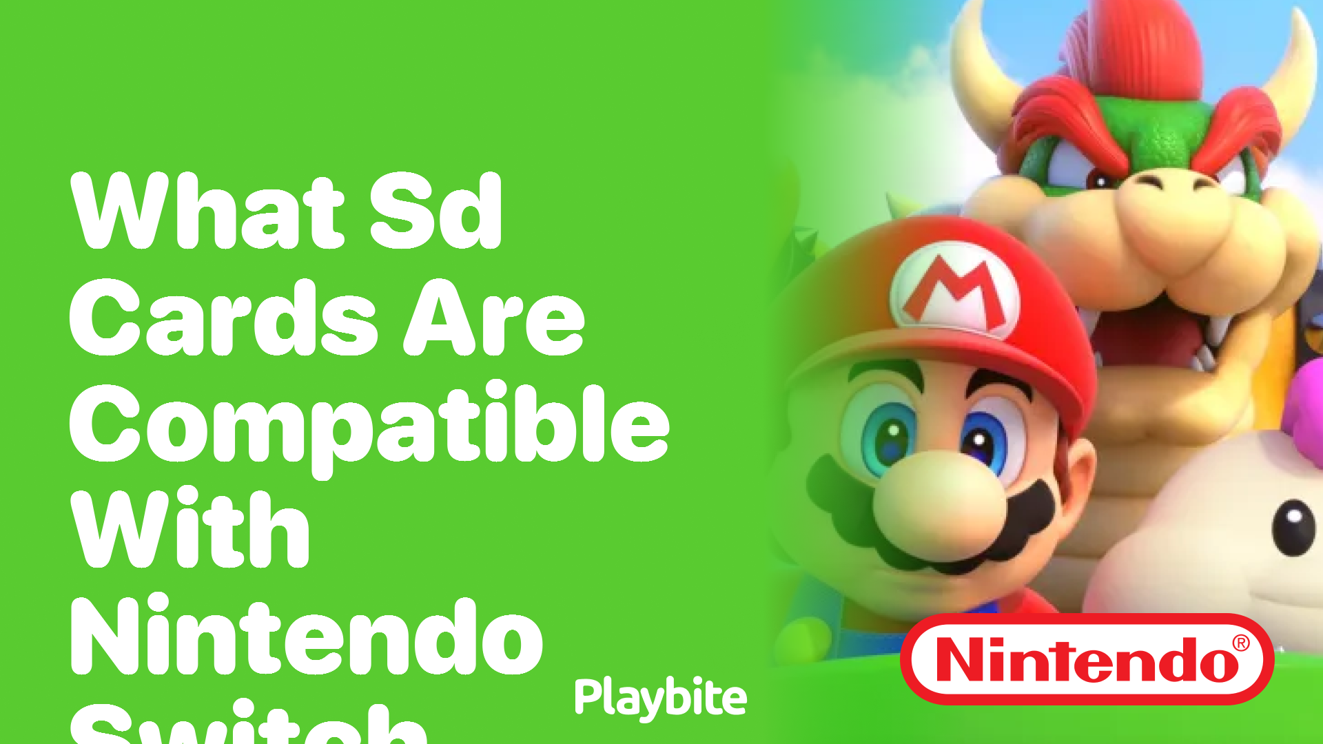 What SD Cards Are Compatible With Nintendo Switch?