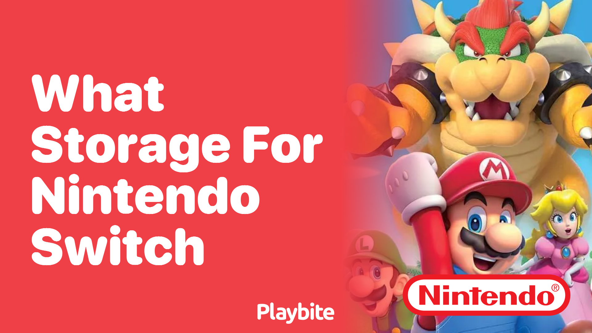 What Storage Options are Available for the Nintendo Switch?