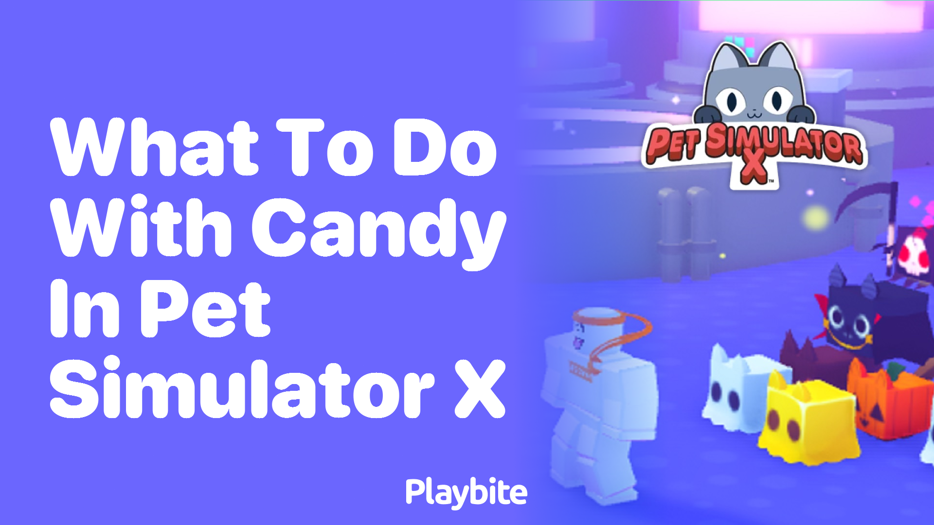 What to Do with Candy in Pet Simulator X