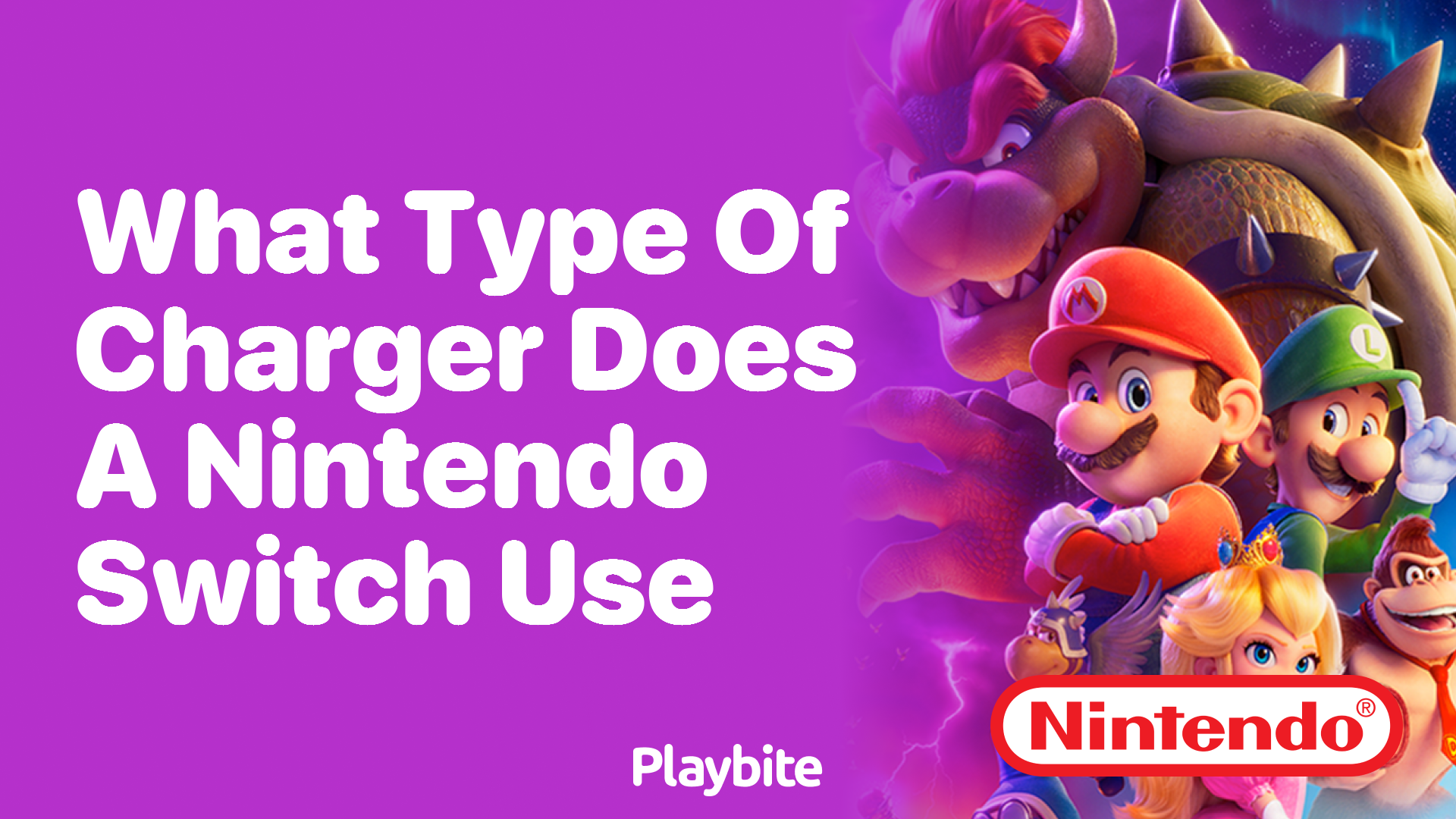 What Type of Charger Does a Nintendo Switch Use? Playbite