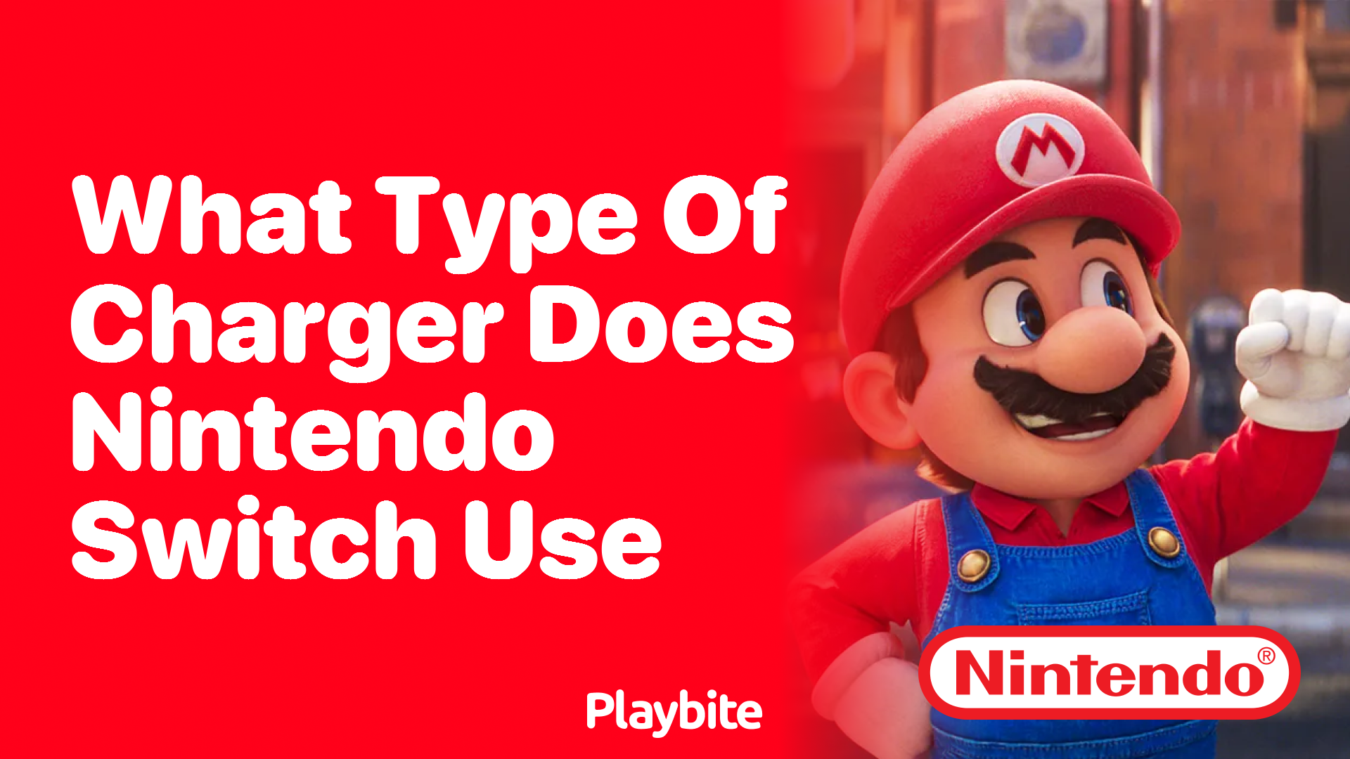 What Type of Charger Does the Nintendo Switch Use? Playbite