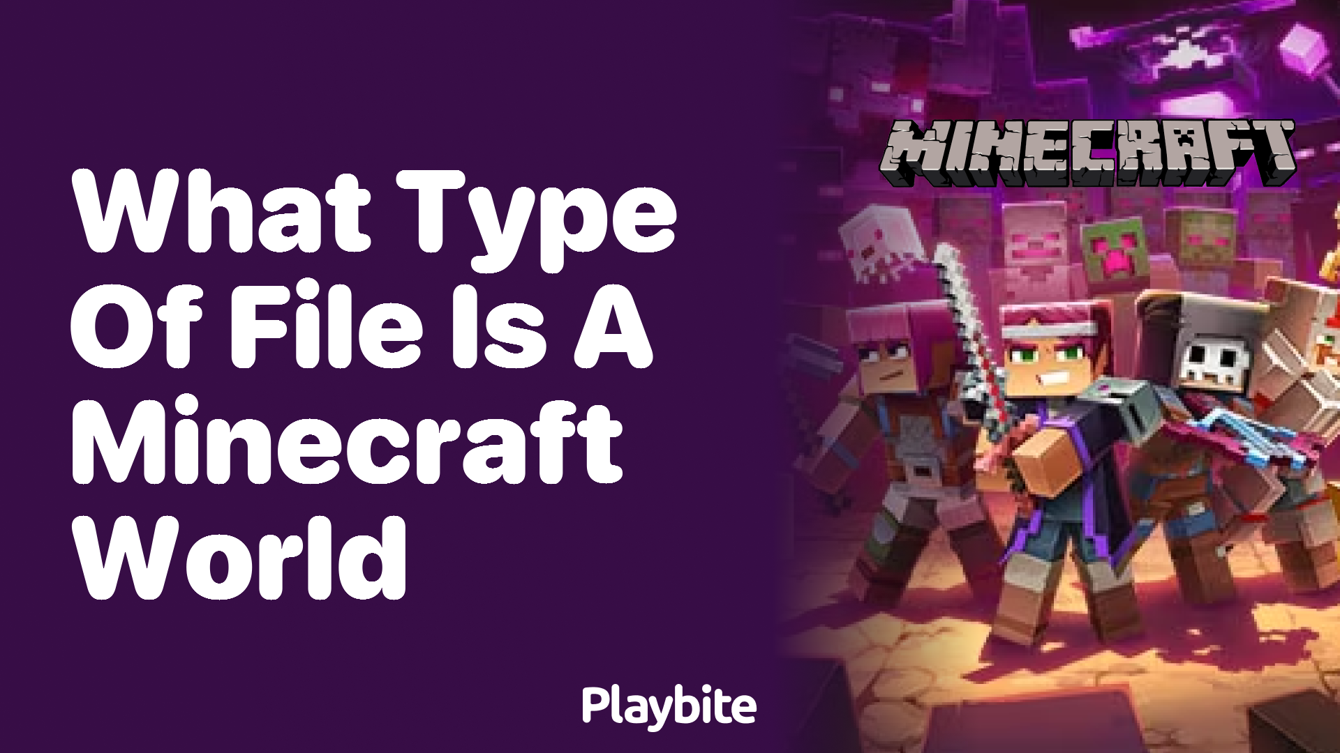 What Type of File Is a Minecraft World?