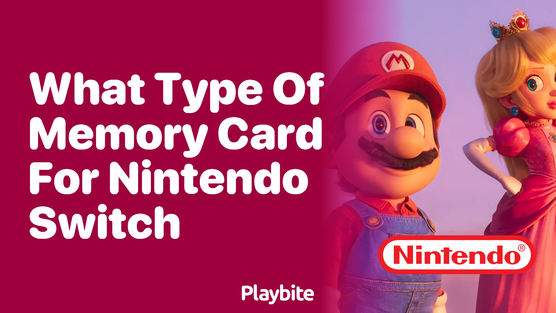 What Type of Memory Card Does the Nintendo Switch Use?
