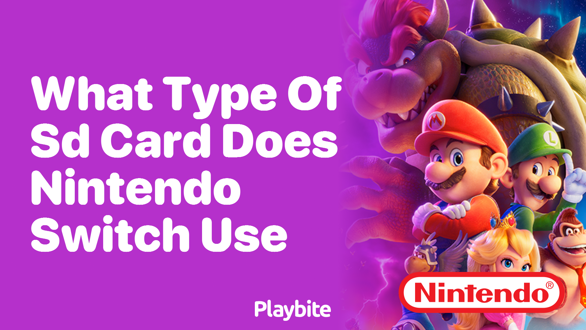 What Type of SD Card Does Nintendo Switch Use?