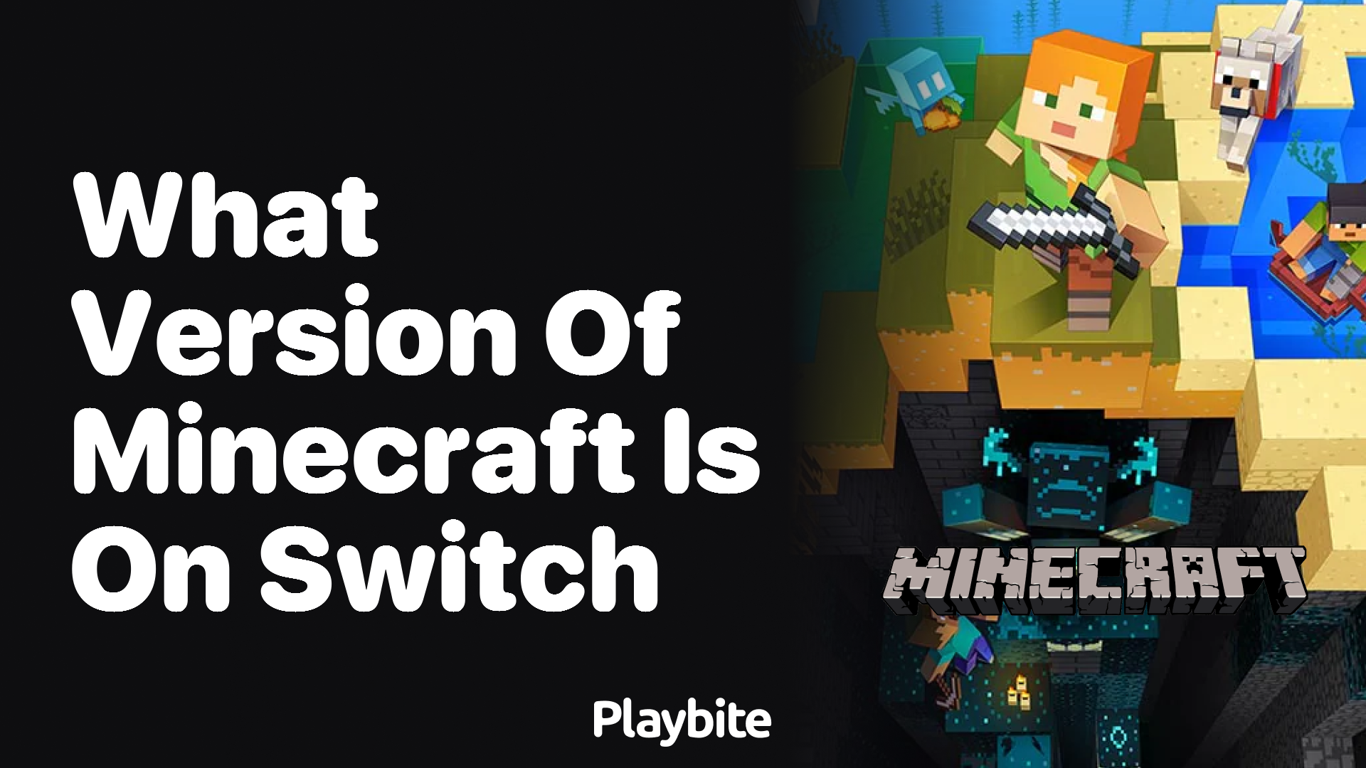What Version of Minecraft Is on Switch?