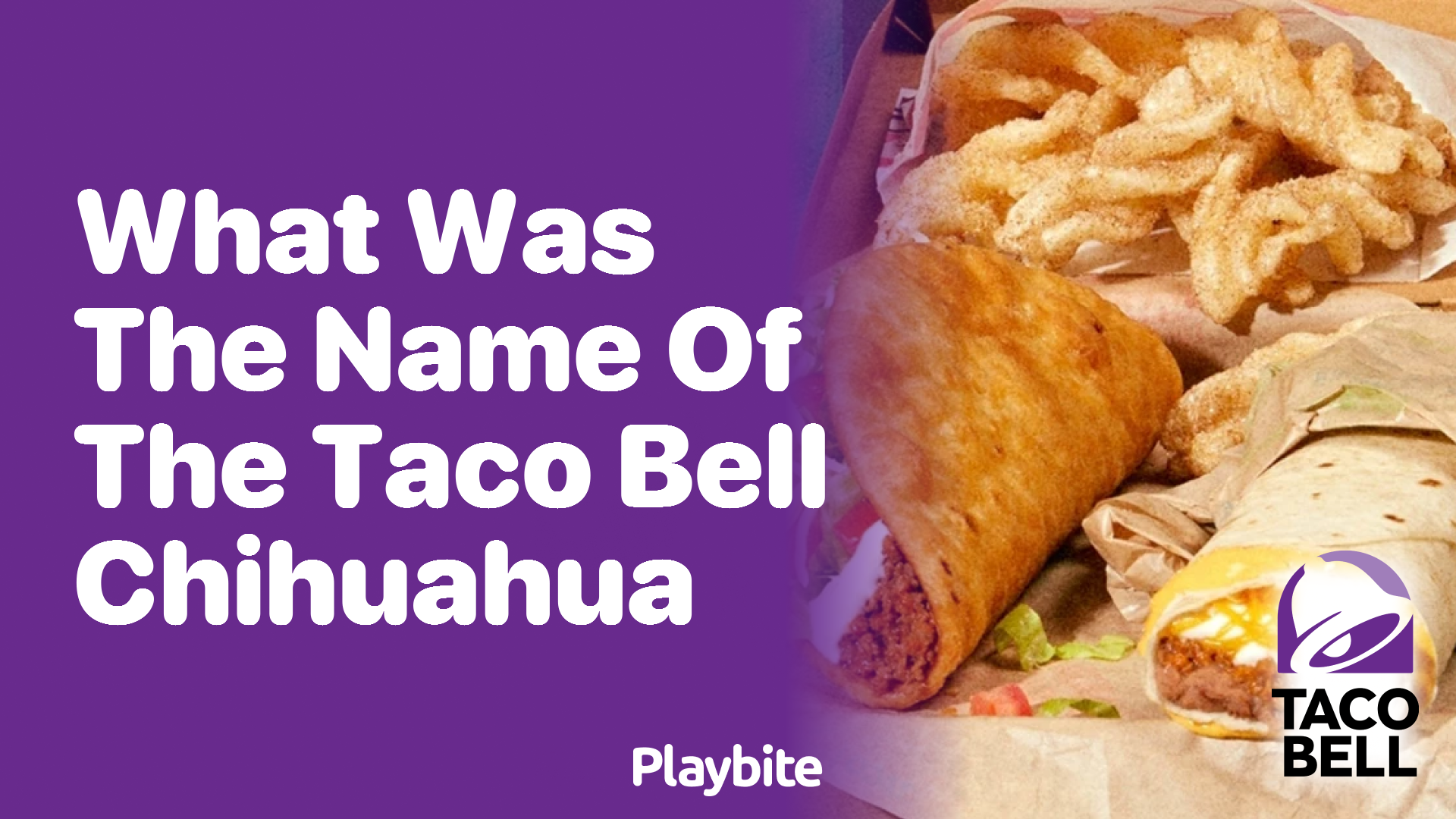 What Was the Name of the Taco Bell Chihuahua?
