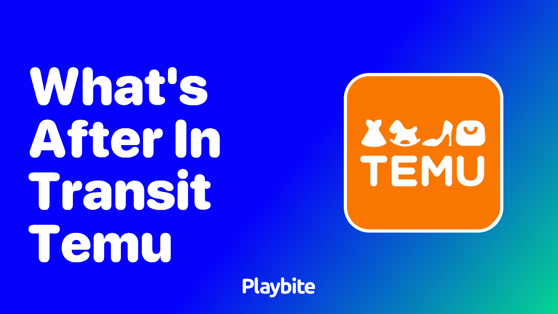 What&#8217;s After &#8216;In Transit&#8217; on Temu?