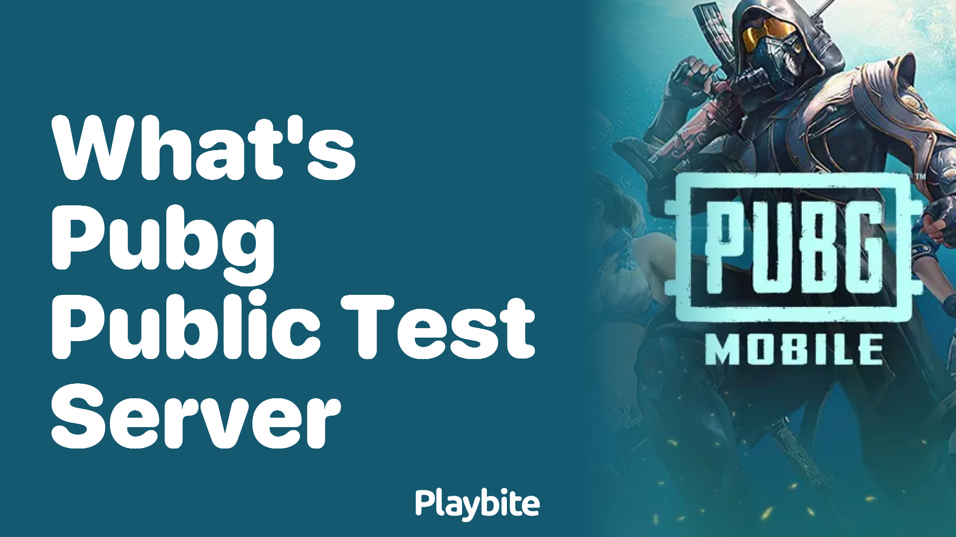 What’s PUBG Public Test Server? Explained