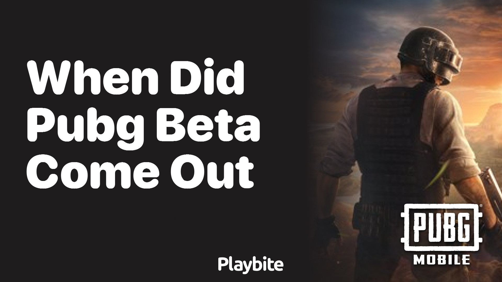 When did the PUBG Mobile Beta Version Launch?