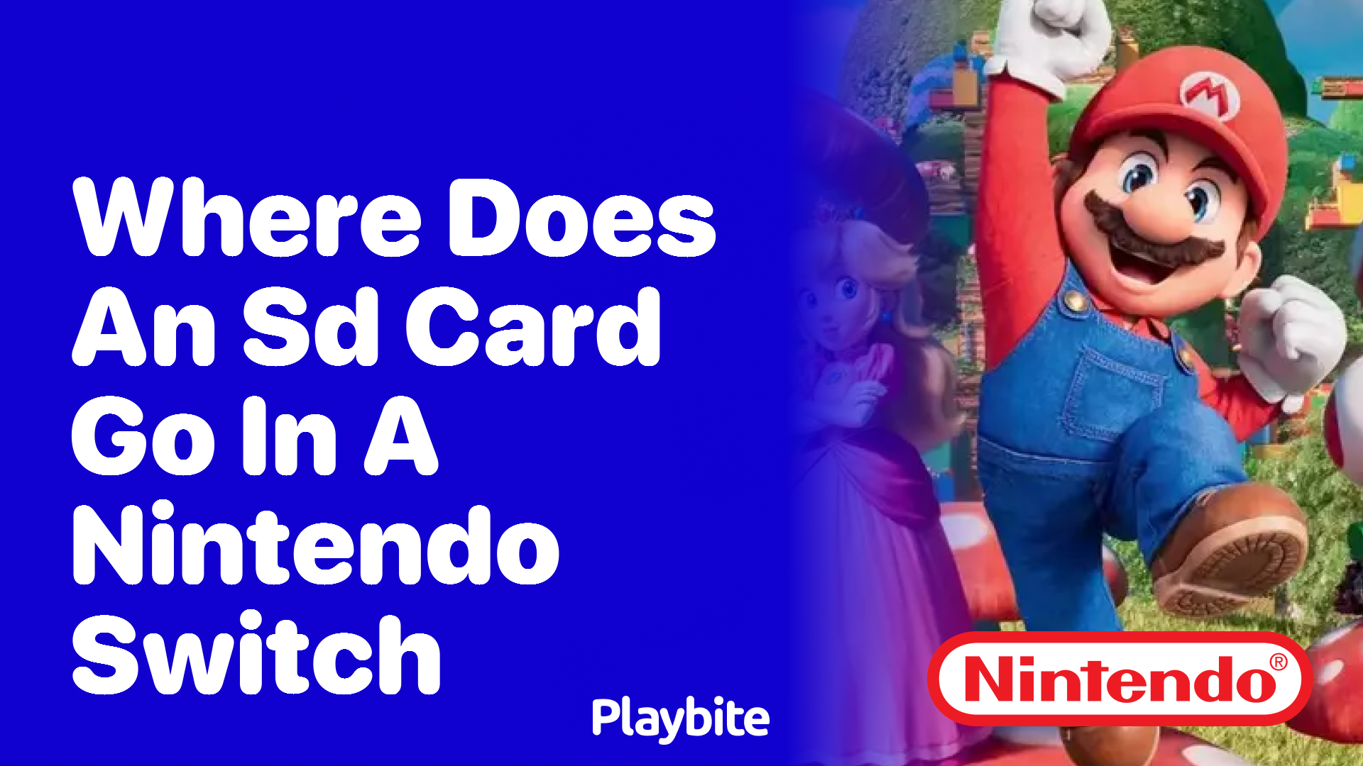 Where Does an SD Card Go in a Nintendo Switch?