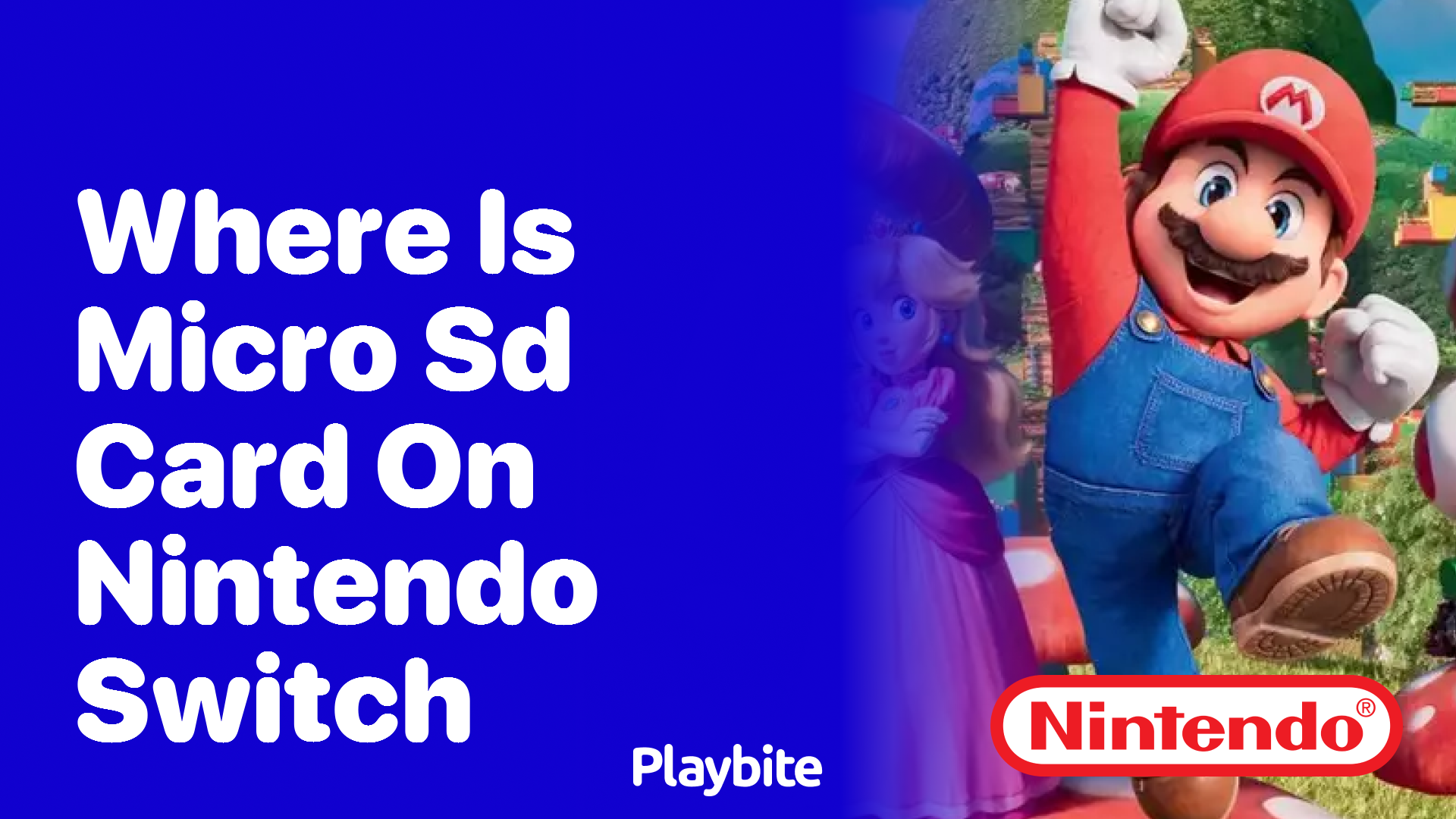 Where Is the Micro SD Card Slot on the Nintendo Switch?