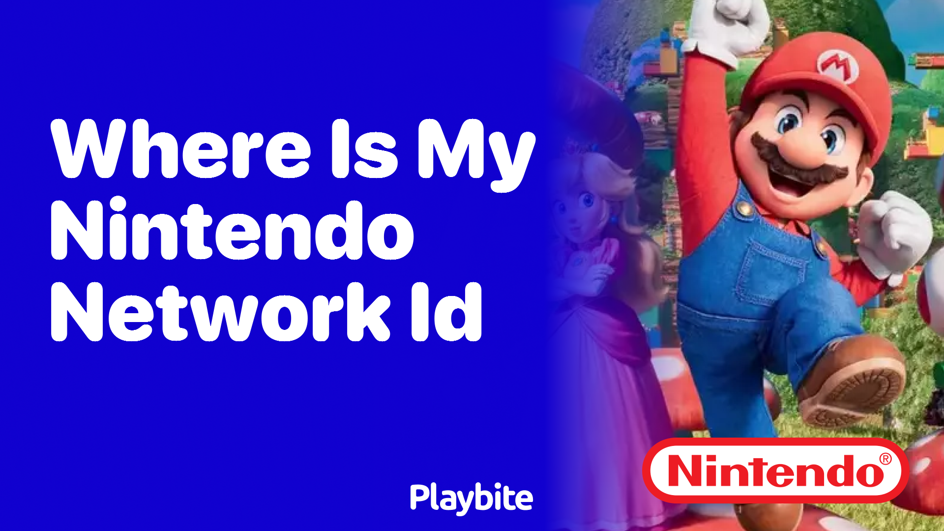 Where Is My Nintendo Network ID?