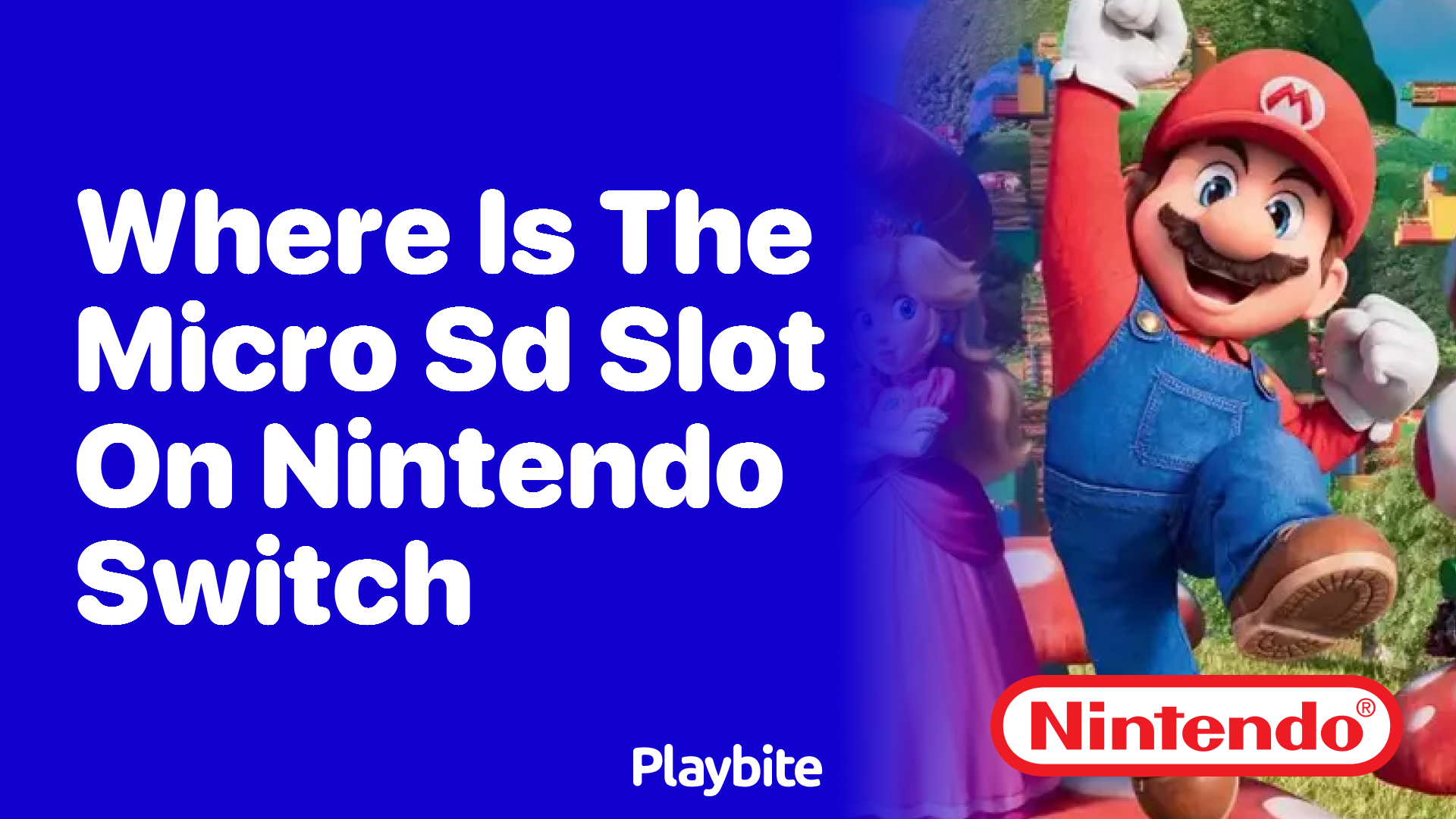 Where Is the Micro SD Slot on the Nintendo Switch?