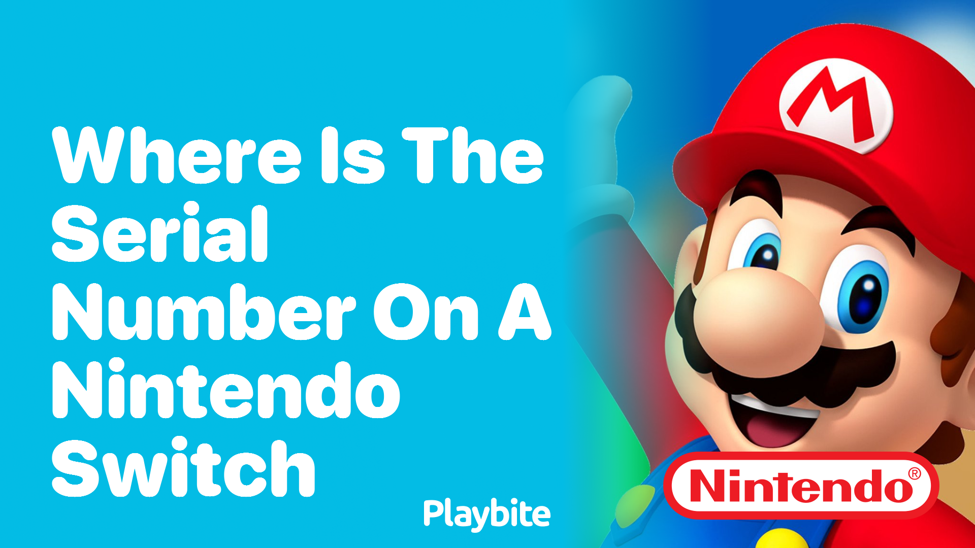 Where Is the Serial Number on a Nintendo Switch?