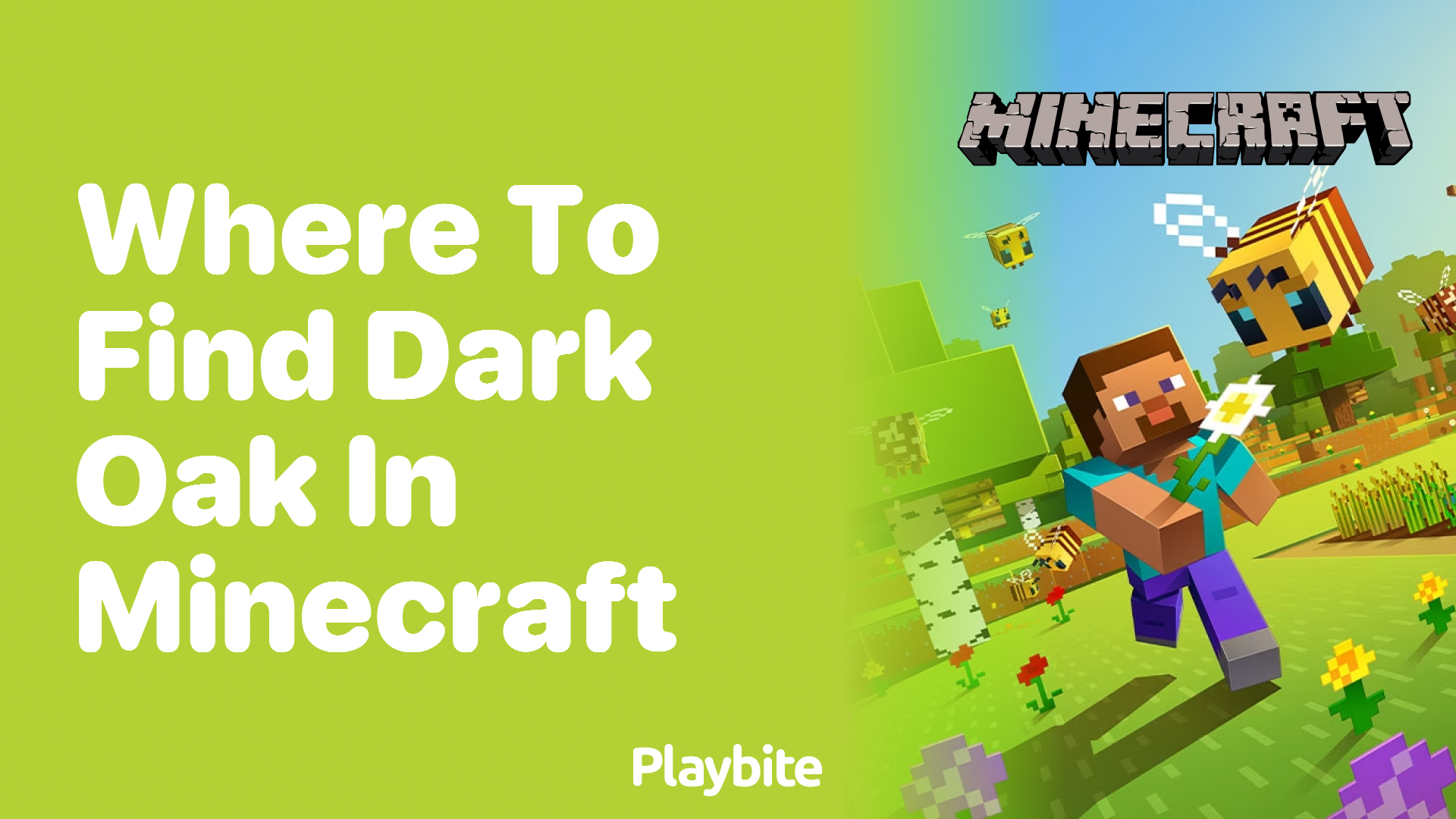 Where to Find Dark Oak in Minecraft