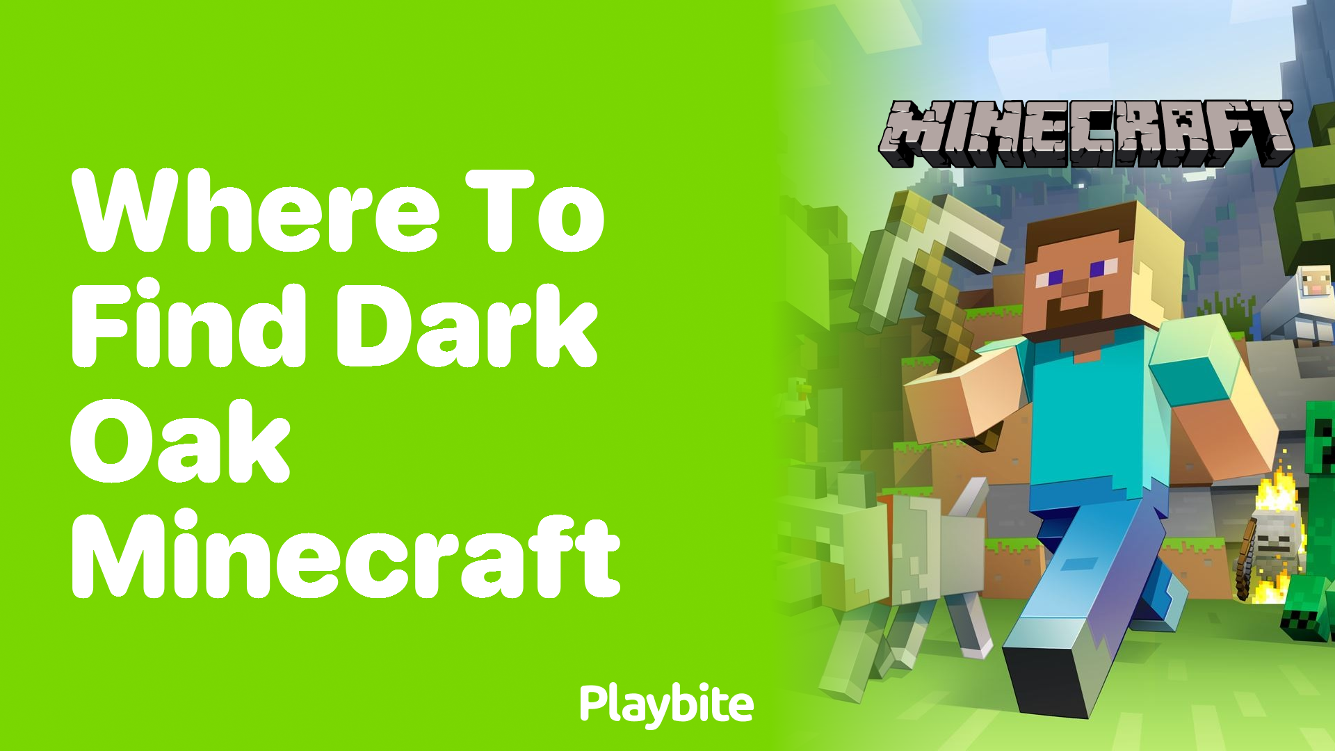 Where to Find Dark Oak in Minecraft Playbite