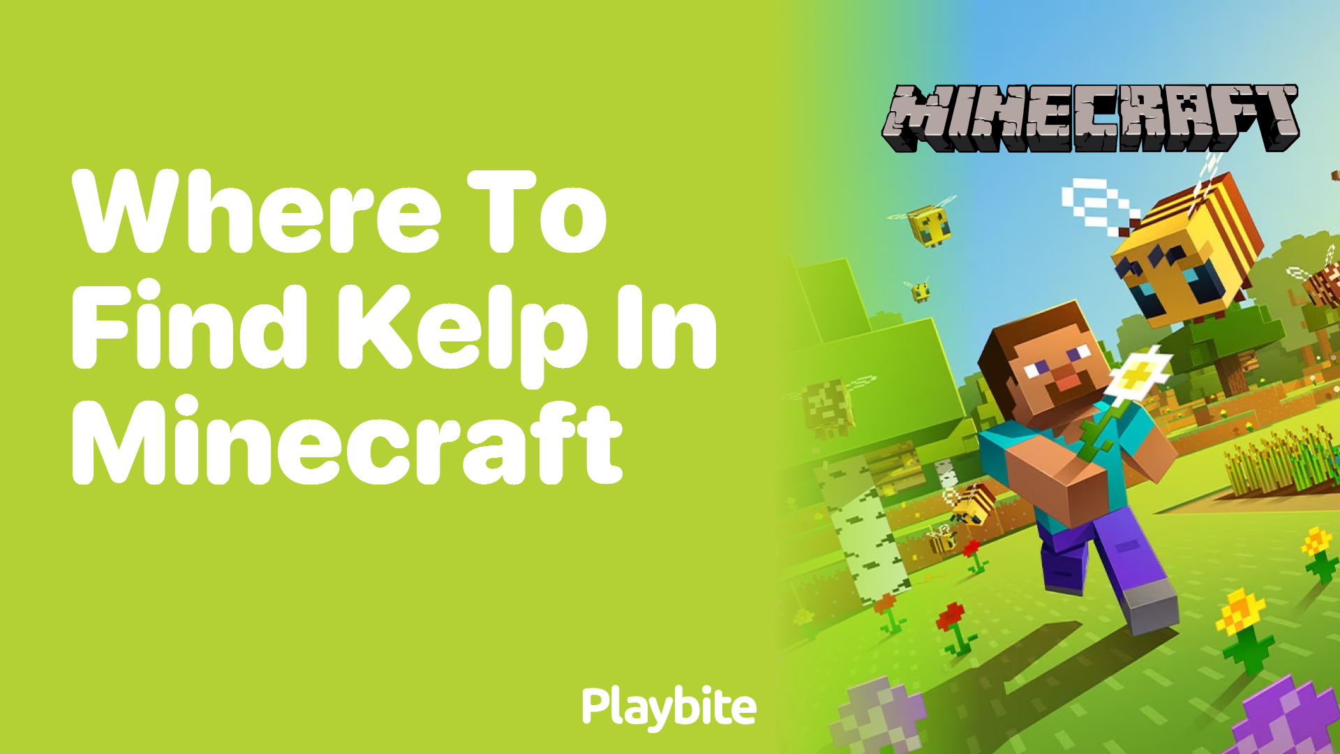 Where to Find Kelp in Minecraft: Your Ultimate Guide